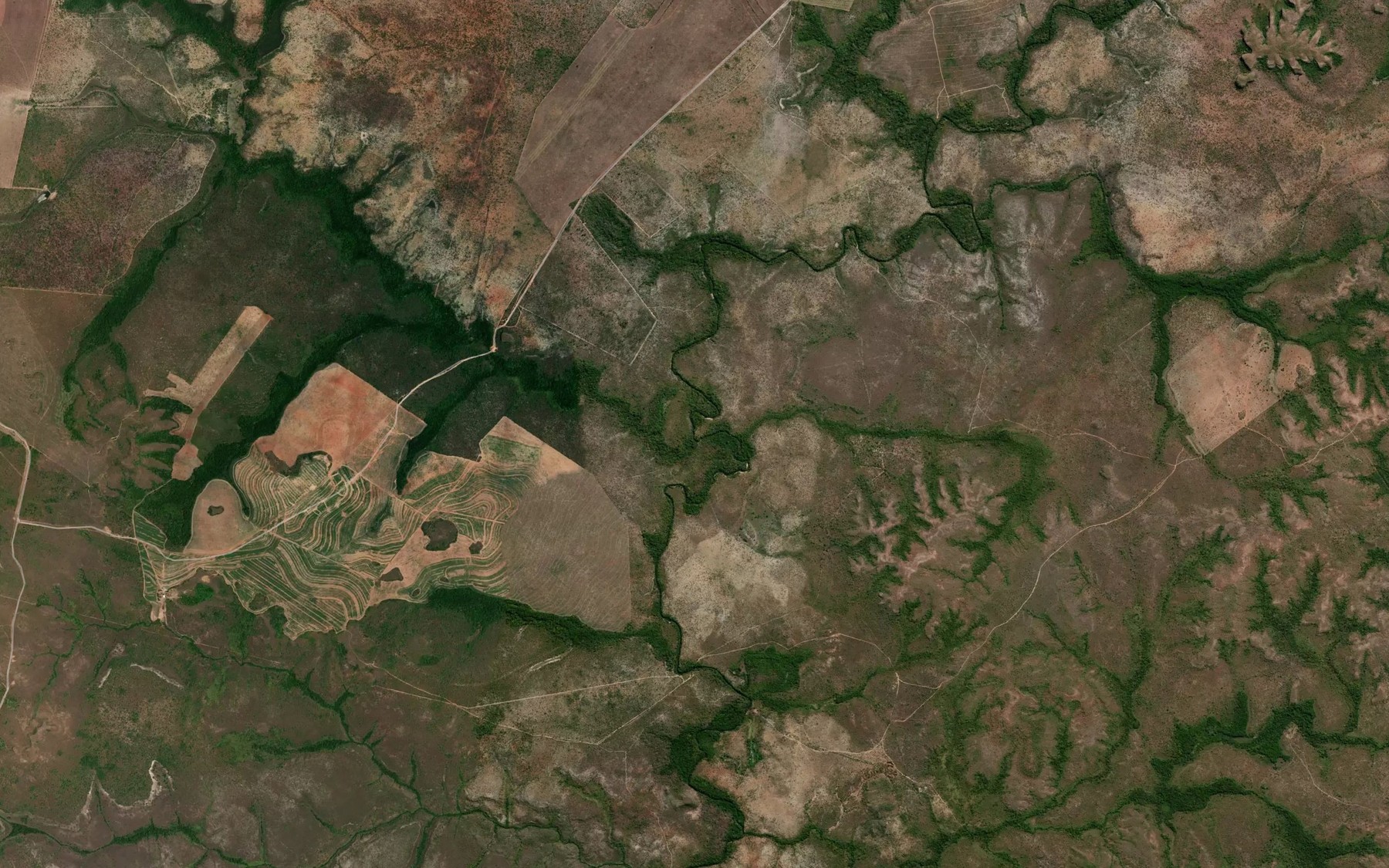 Satellite map of the Rio Negro