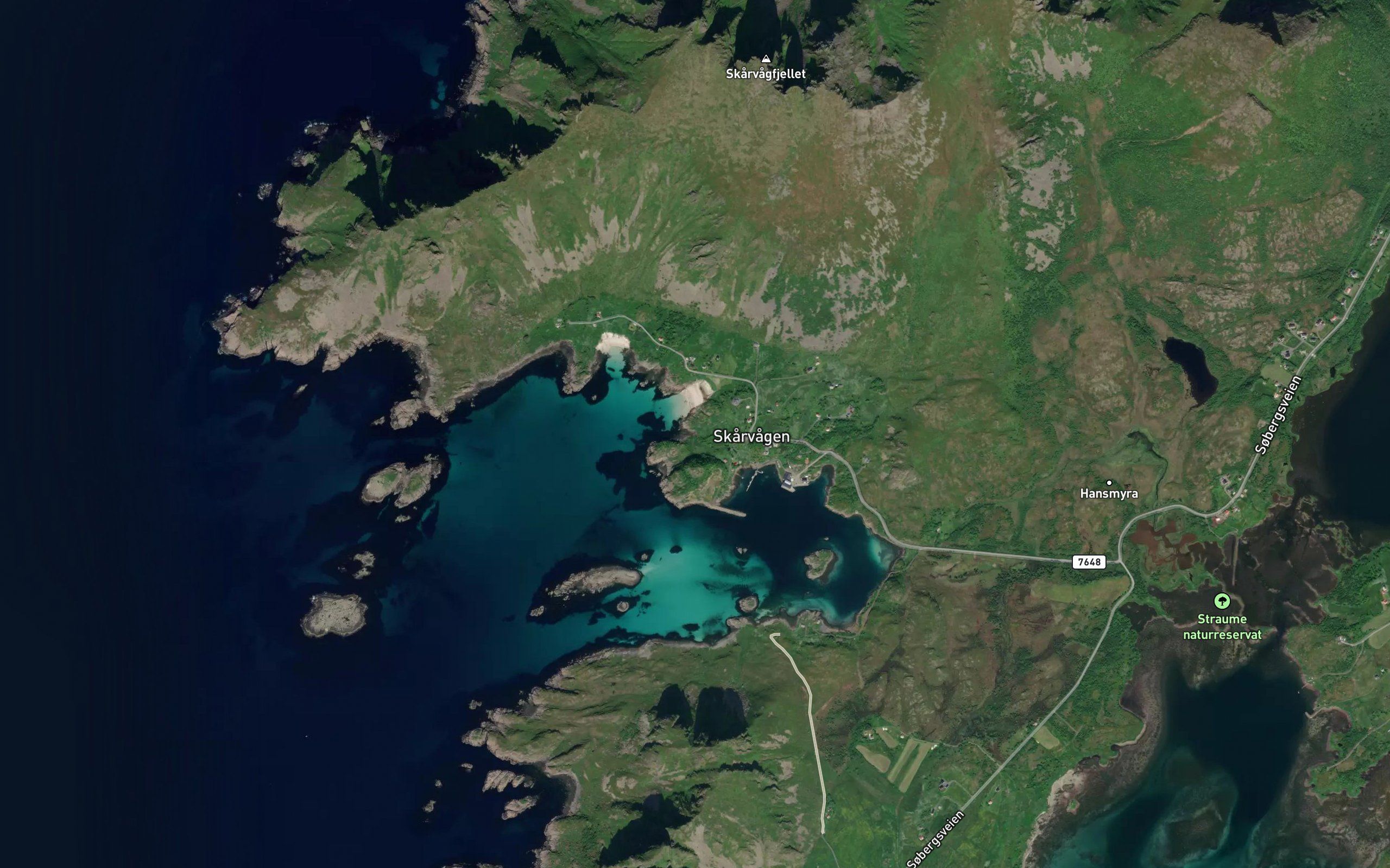 Askvika
