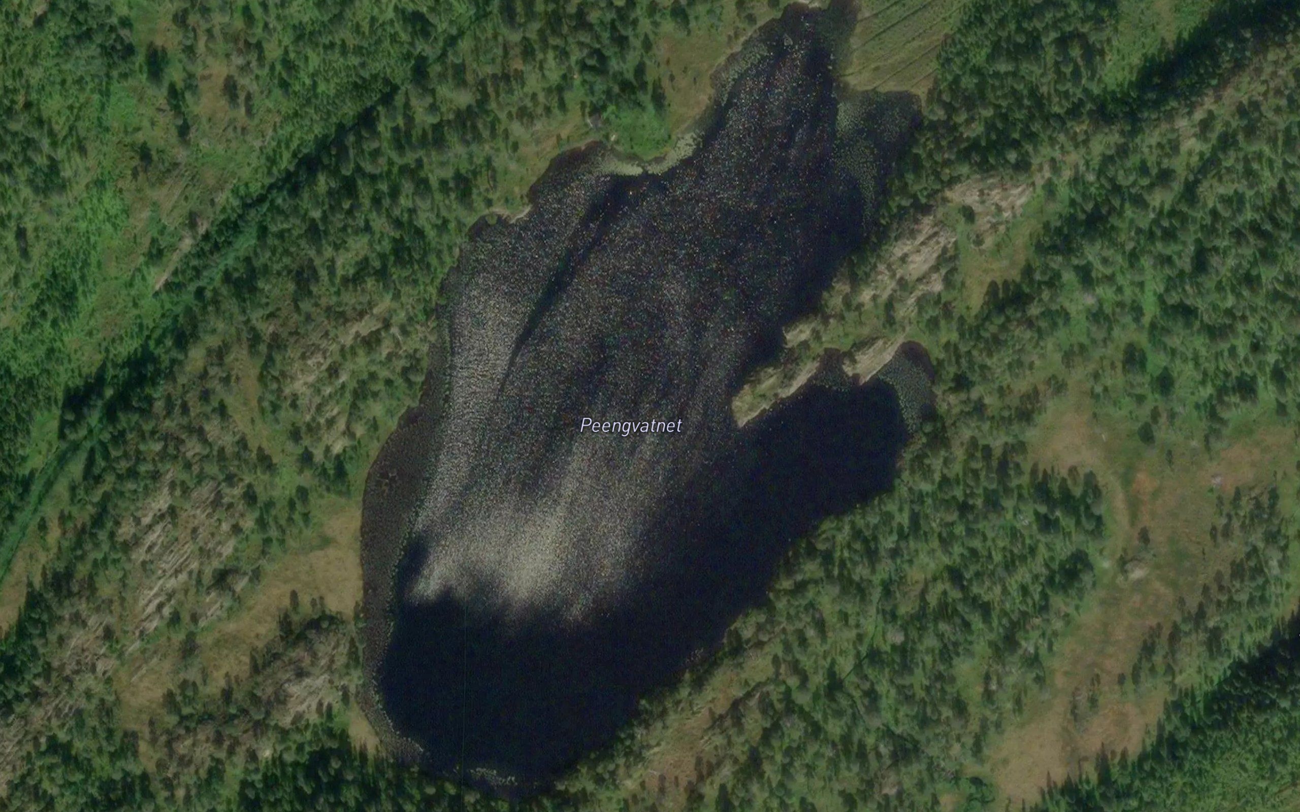 Peengvatnet