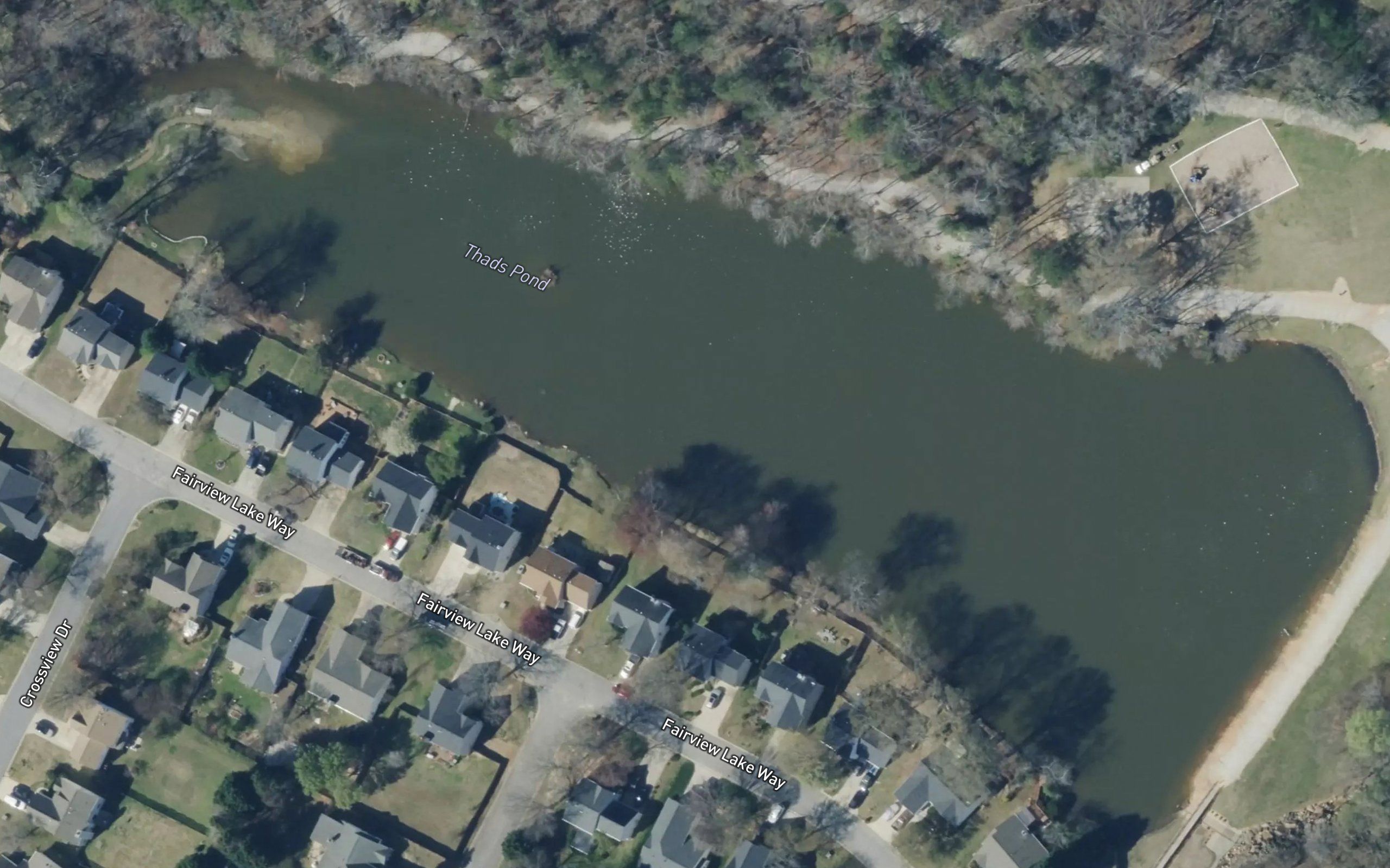 Thads Pond