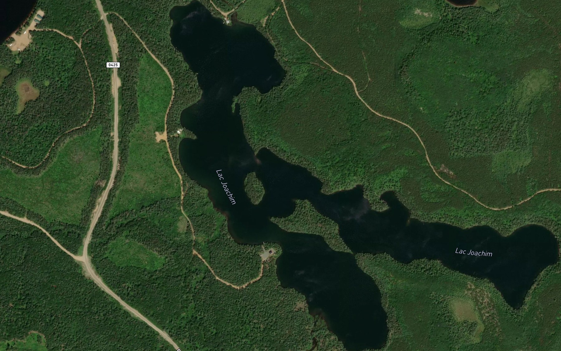 Satellite map of the Lac Joachim