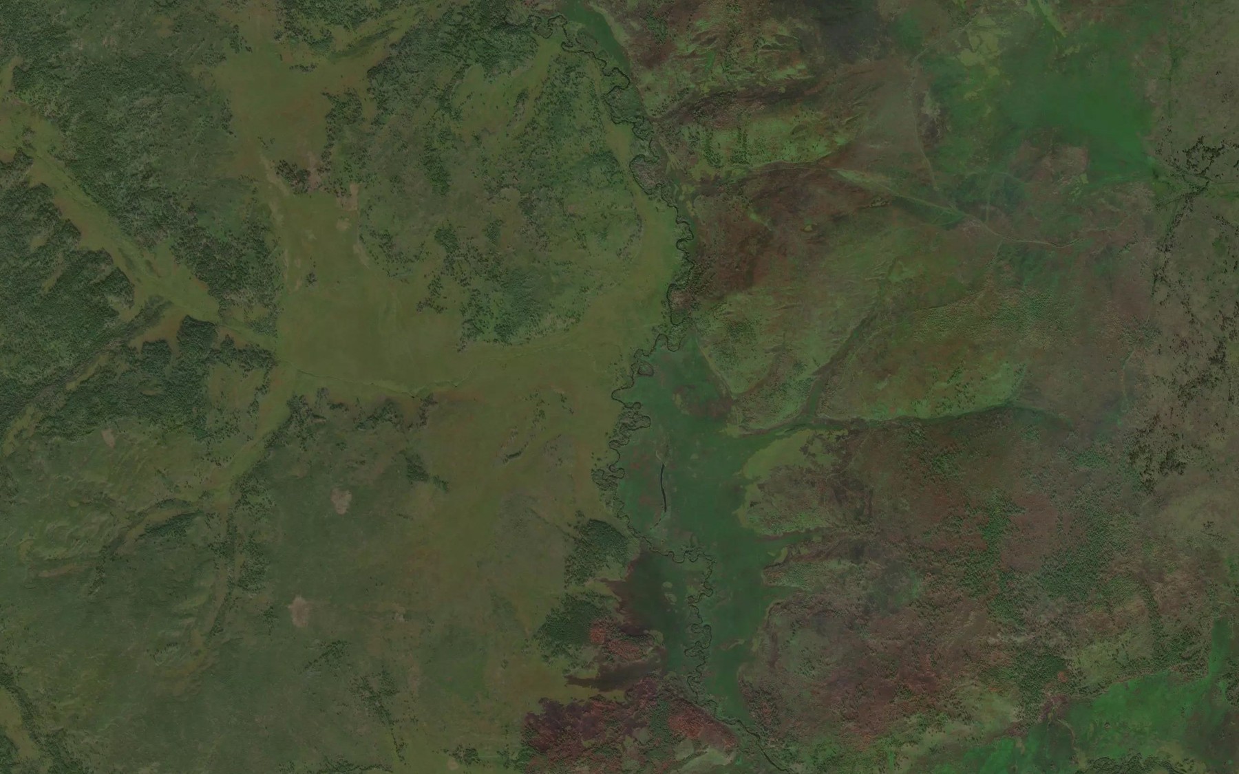 Satellite map of the Kamennyy