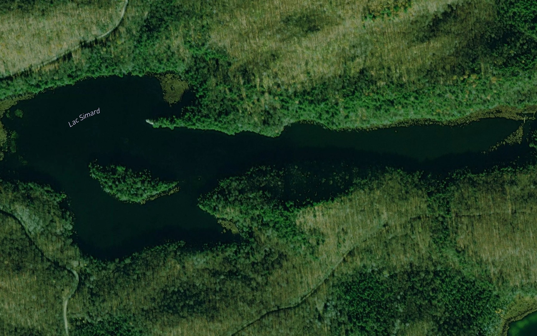 Satellite map of the Lac Simard