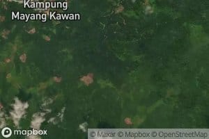 Sungai Mayang