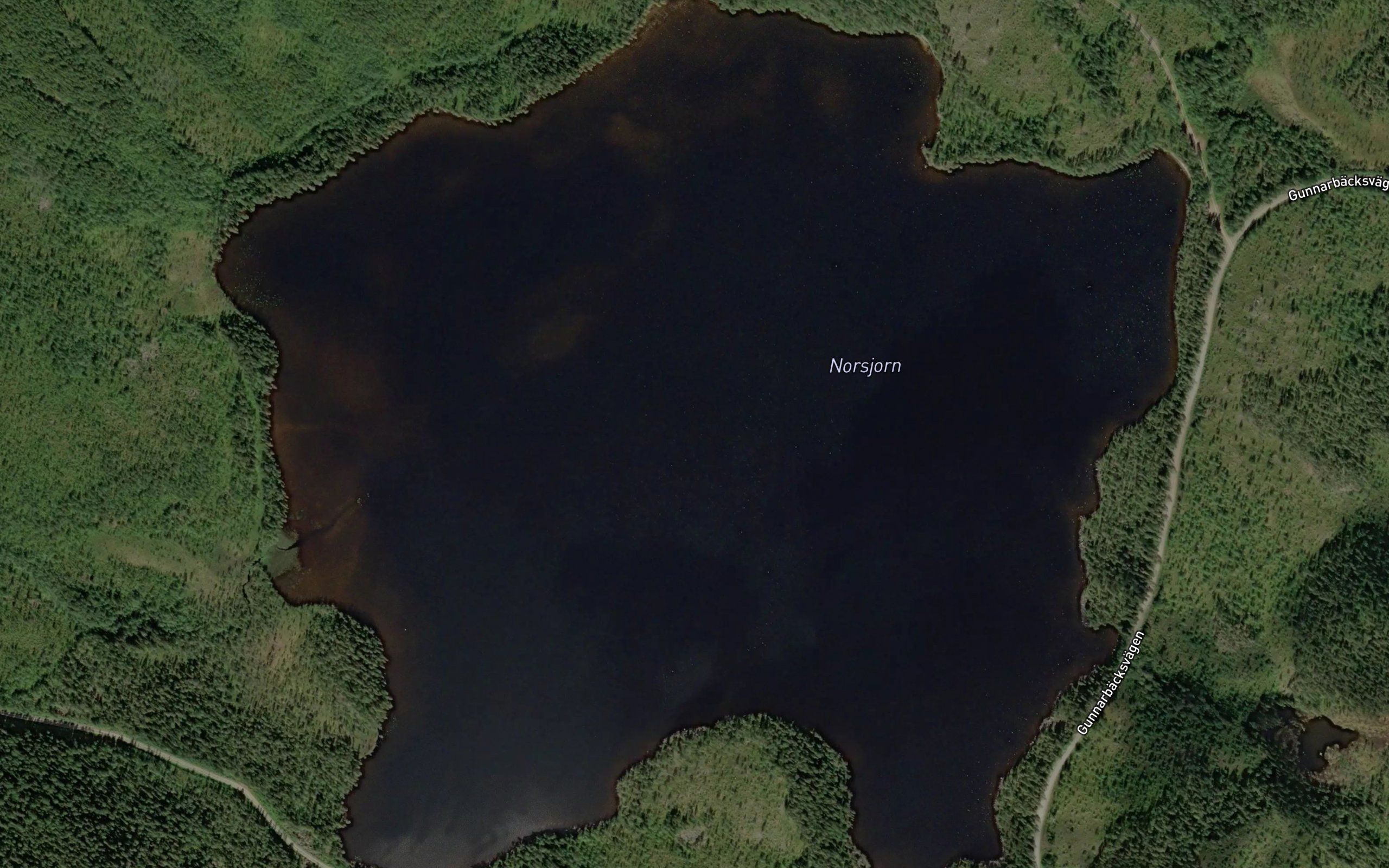 Norsjorn