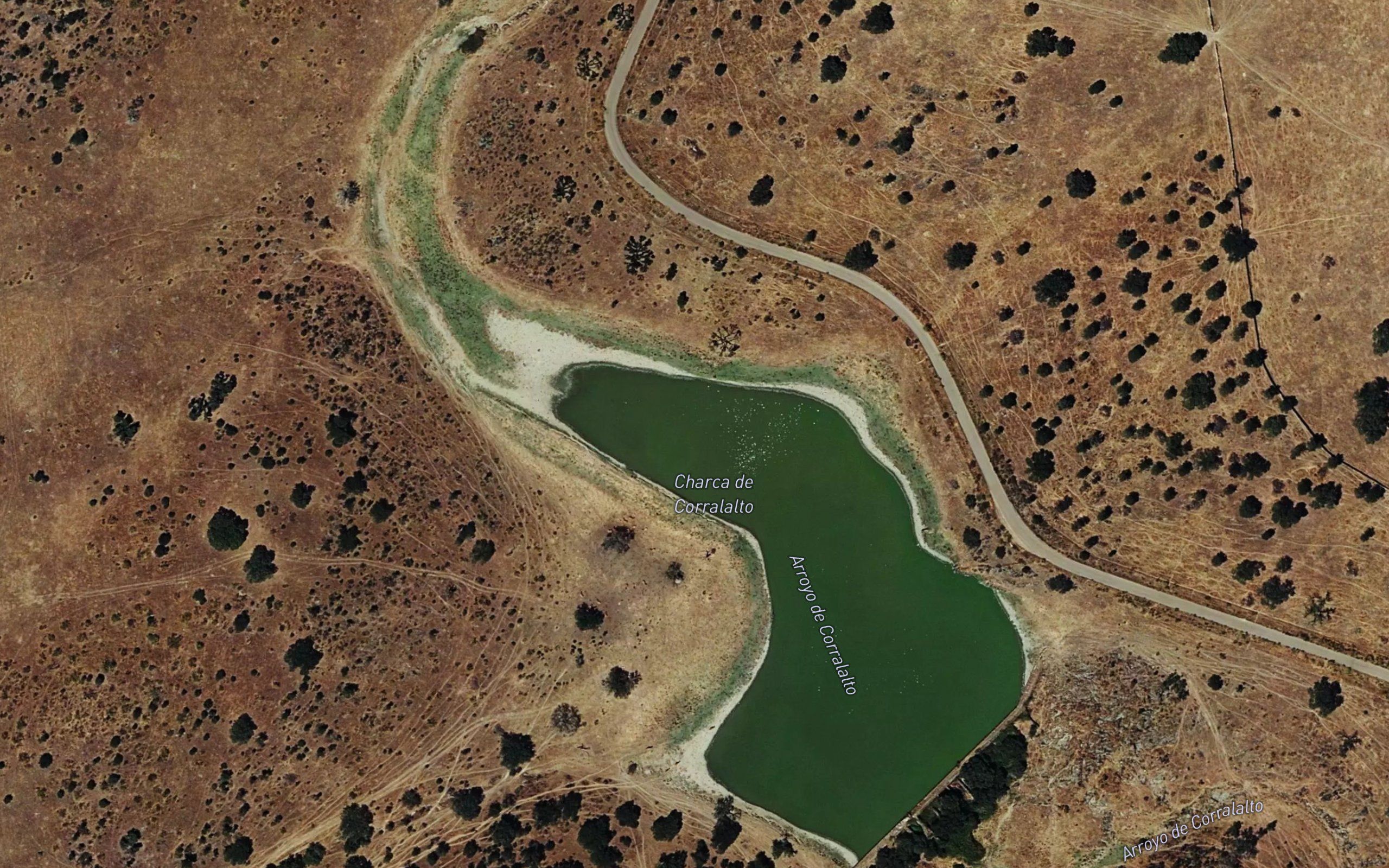 Pantano de Corralalto