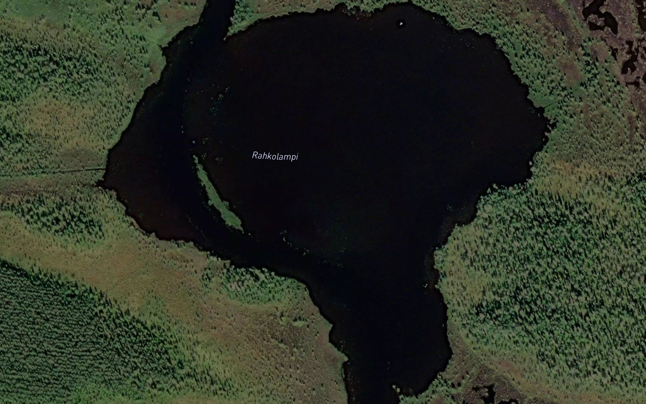 Rahkolampi