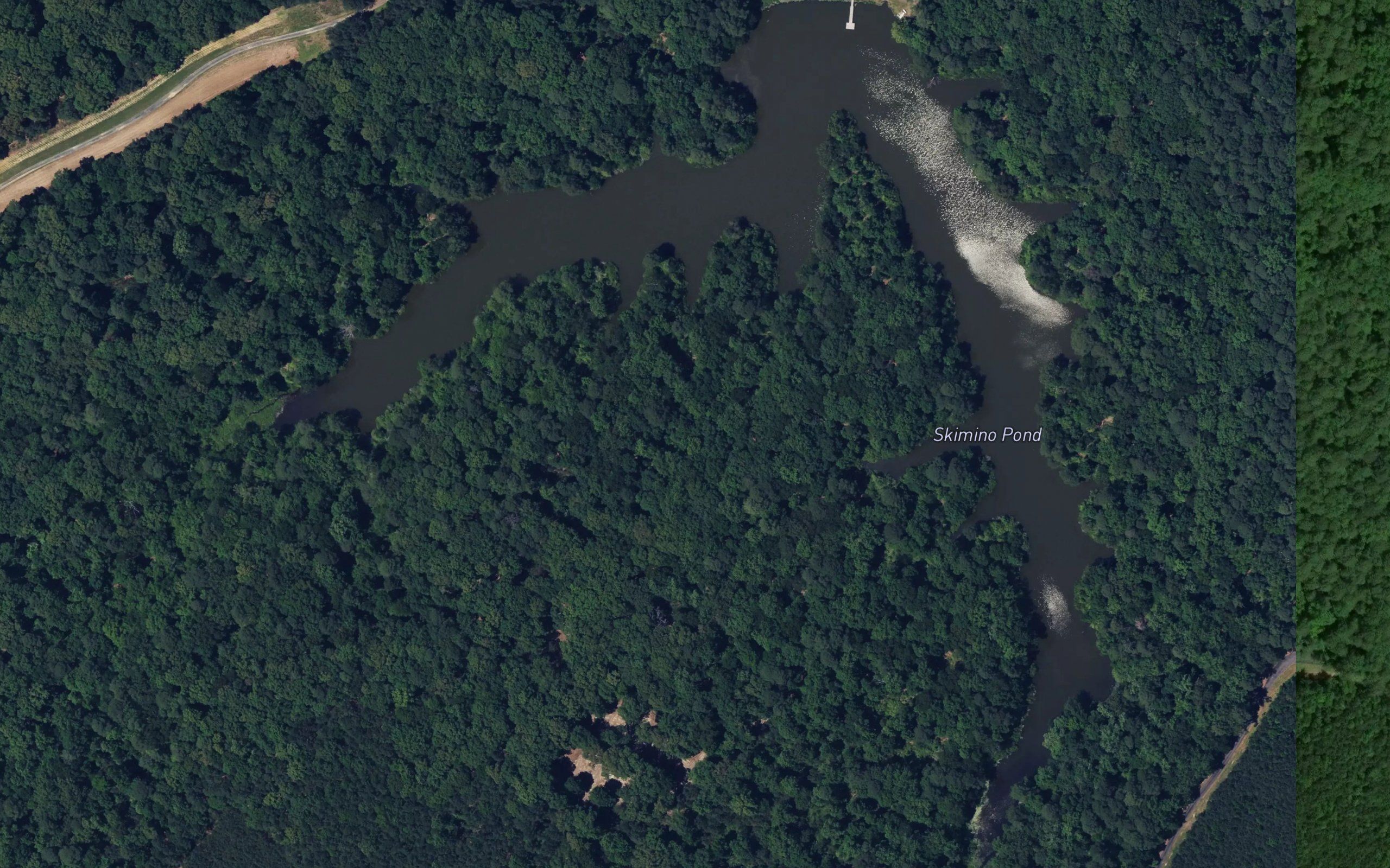 Skimino Pond