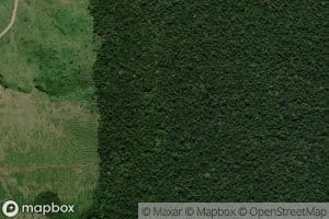 Igarape da Pedra Lisa