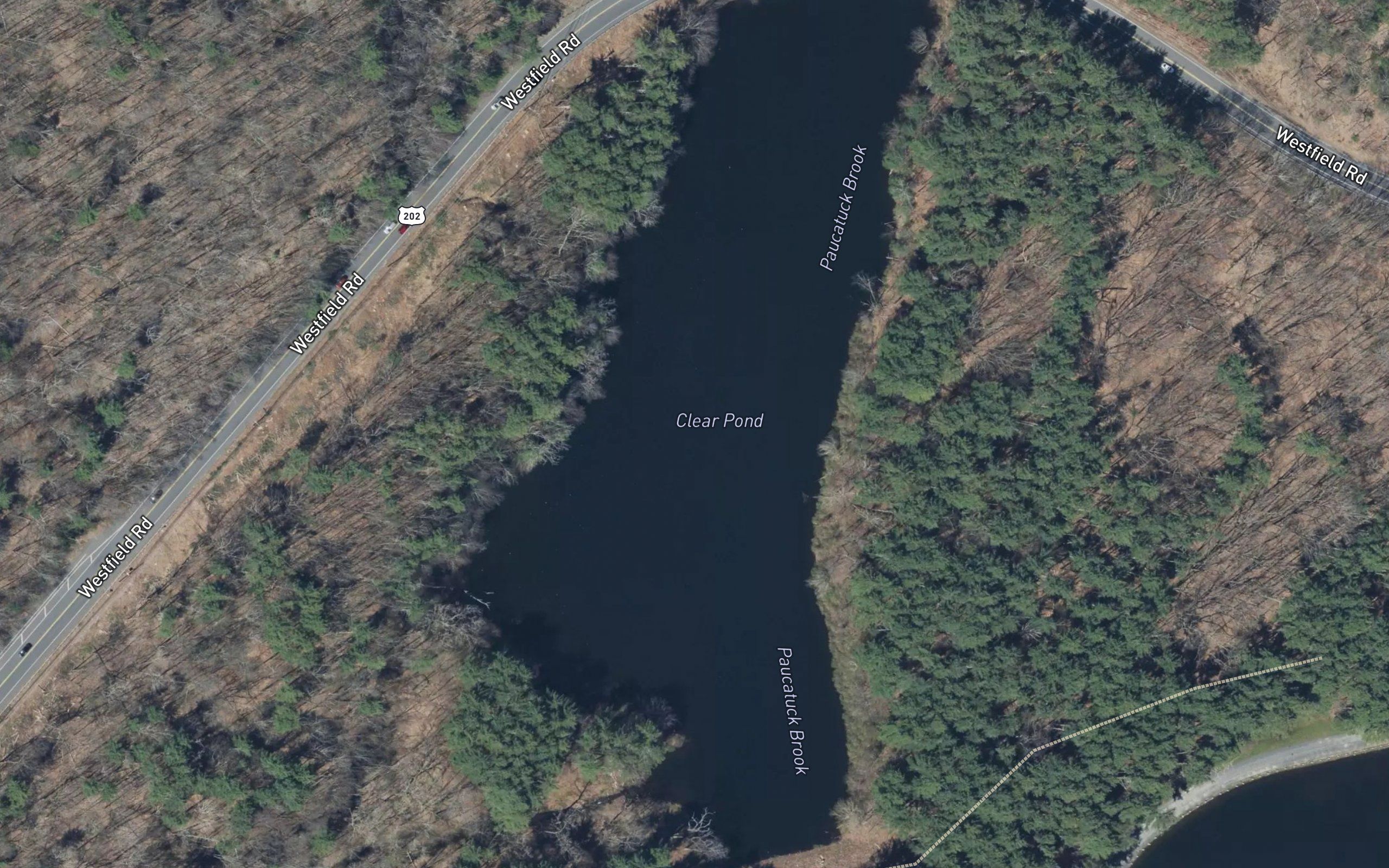 Clear Pond