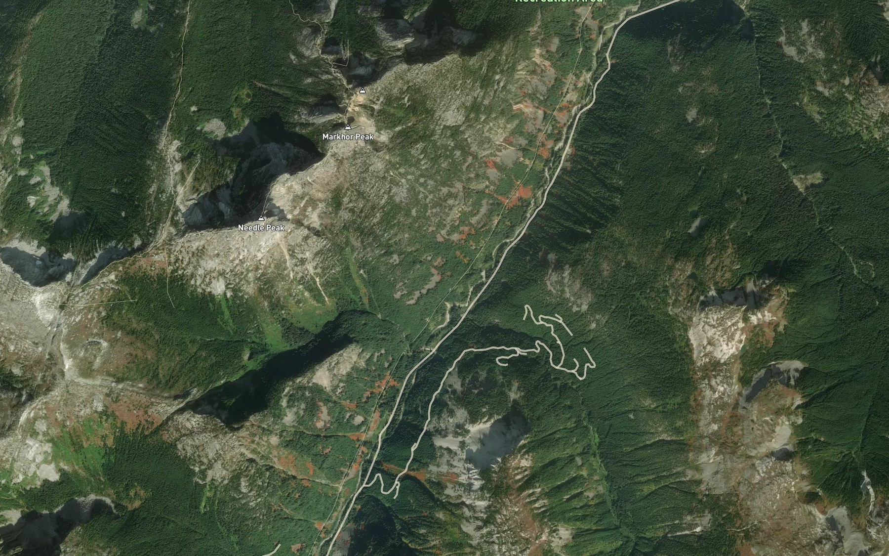 Satellite map of the Needle Creek