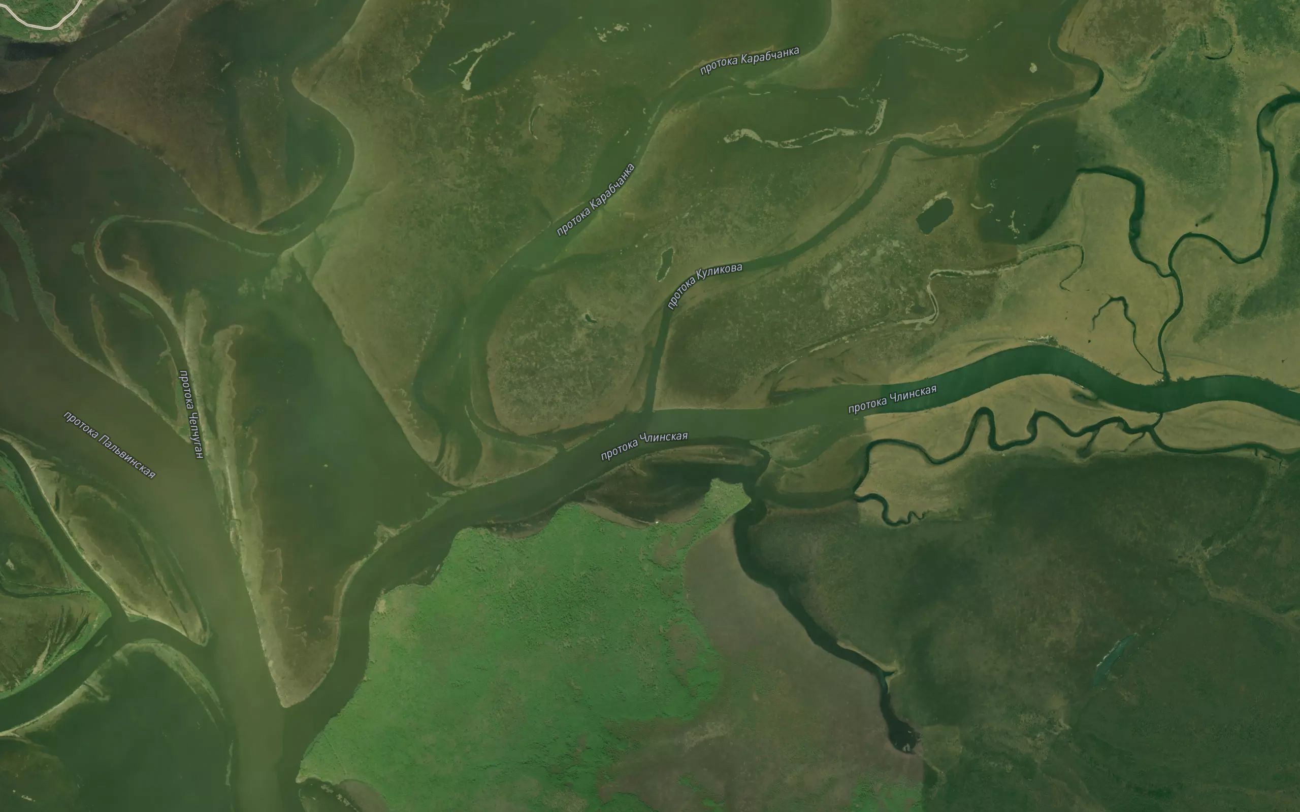 Protoka Kulikova