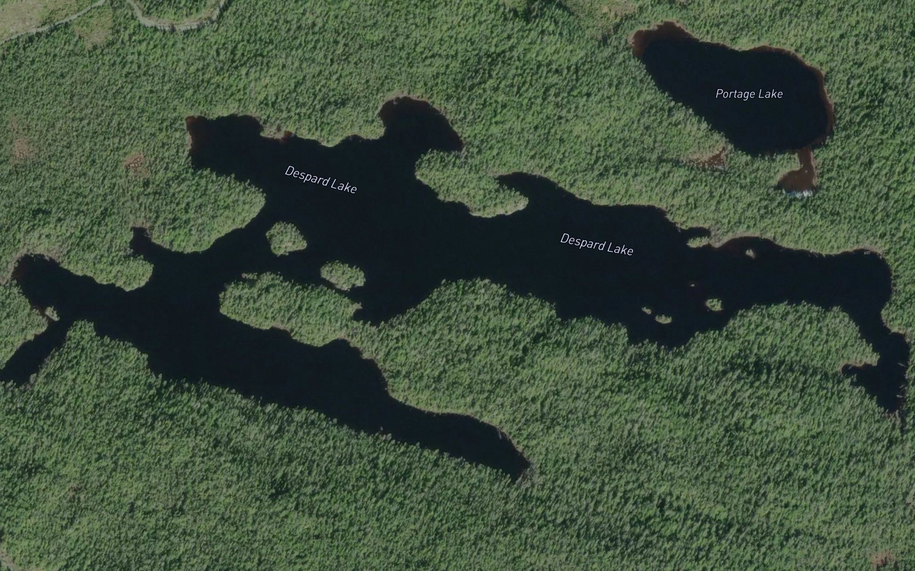 Satellite map of the Despard Lake