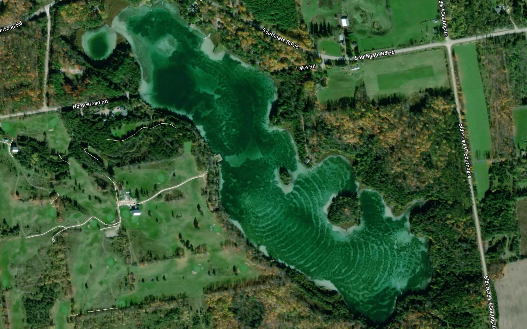 Satellite map of the Wilder Lake