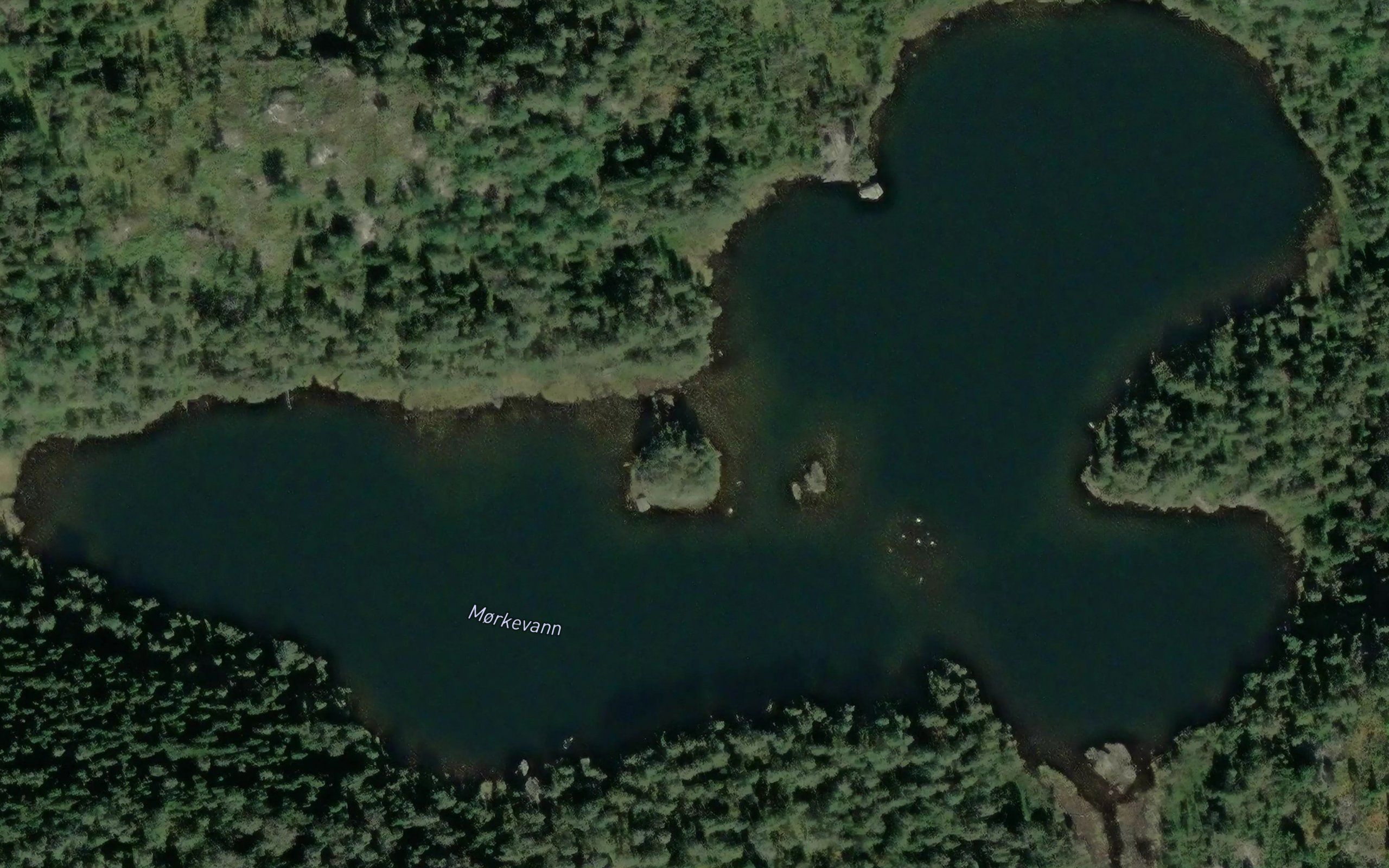 Morkevann