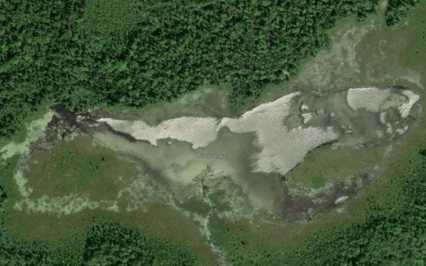 Satellite map of the Turtle Lake