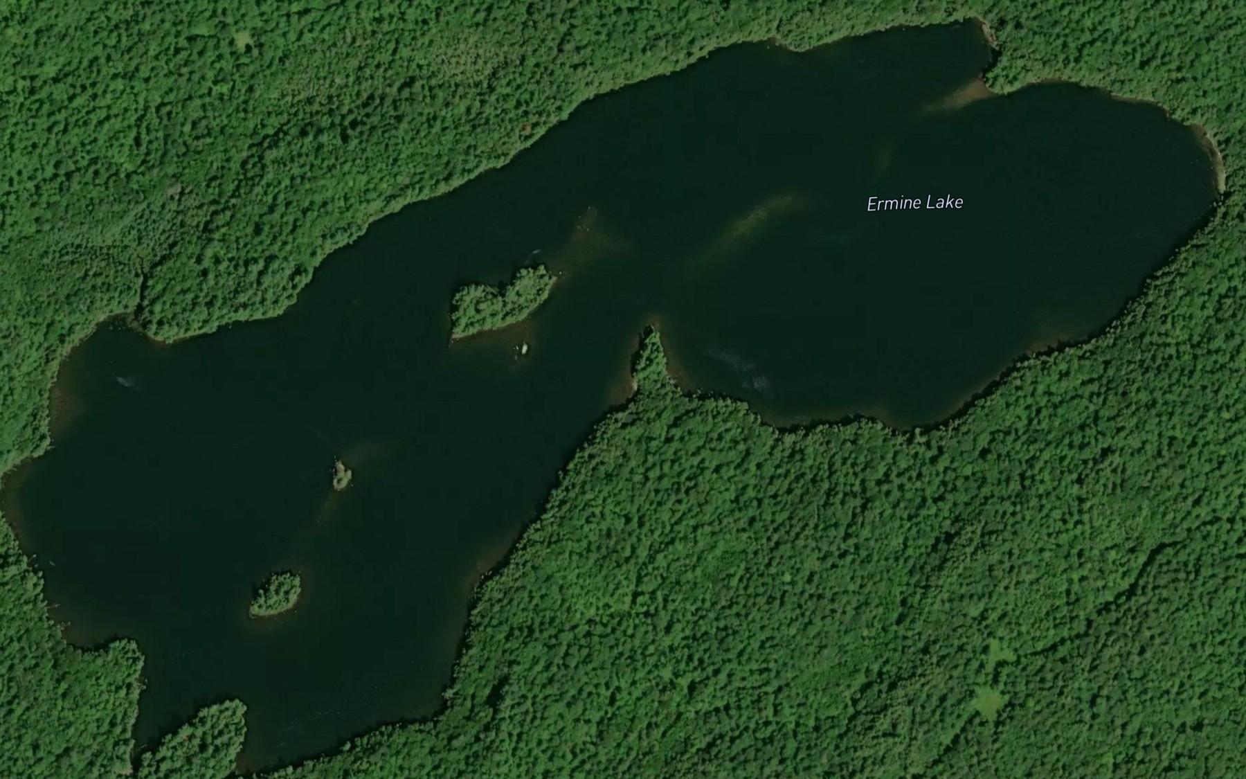 Satellite map of the Ermine Lake