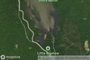 Bog Brook