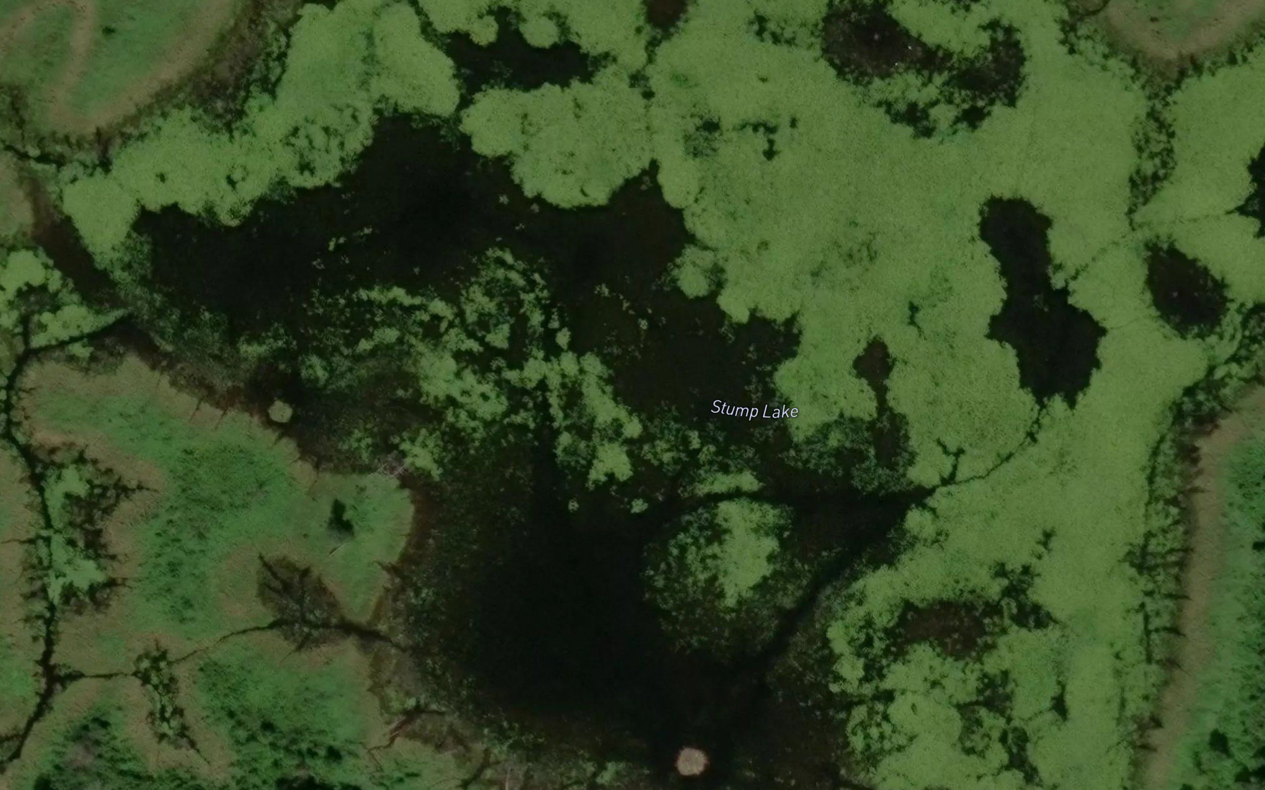 Stump Lake
