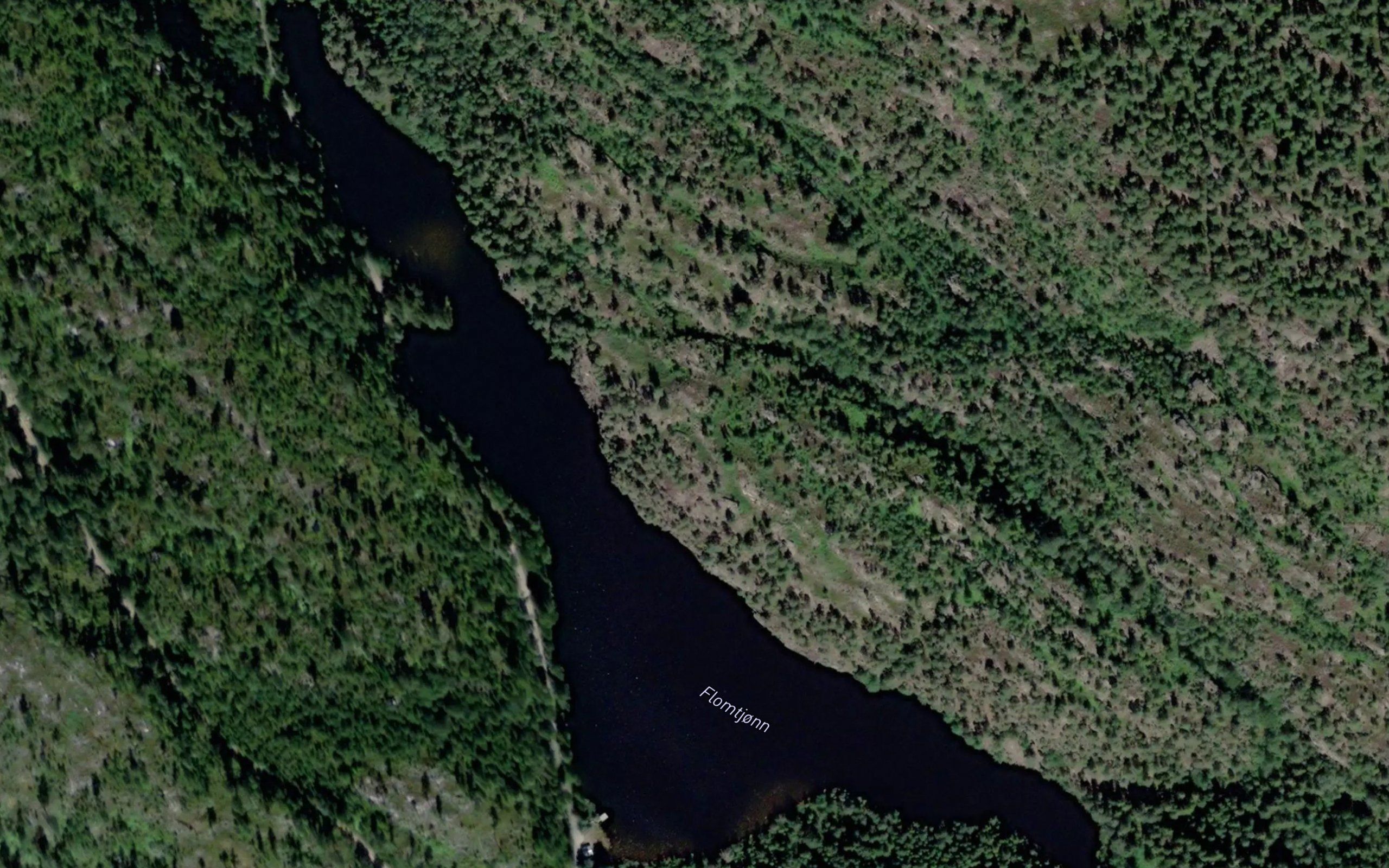 Flomtjonn