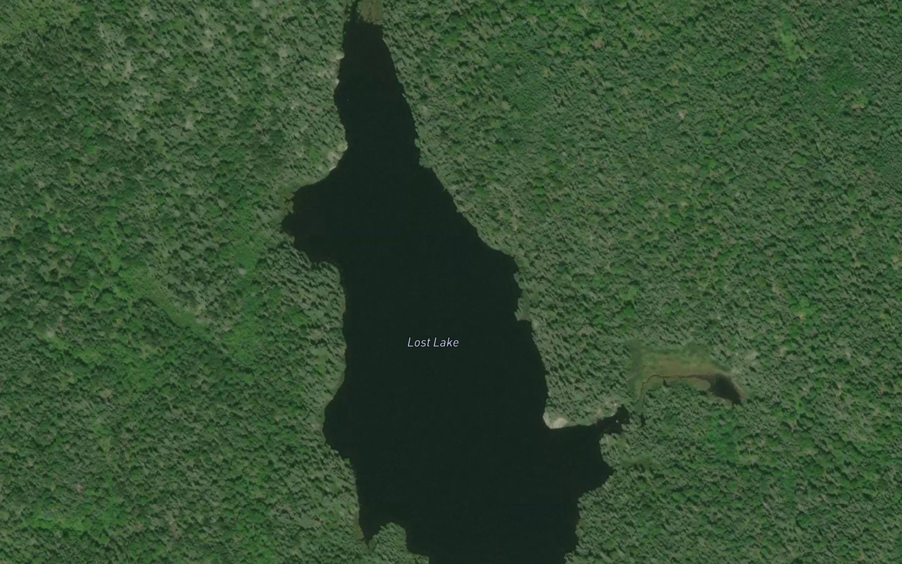 Satellite map of the Lost Lake