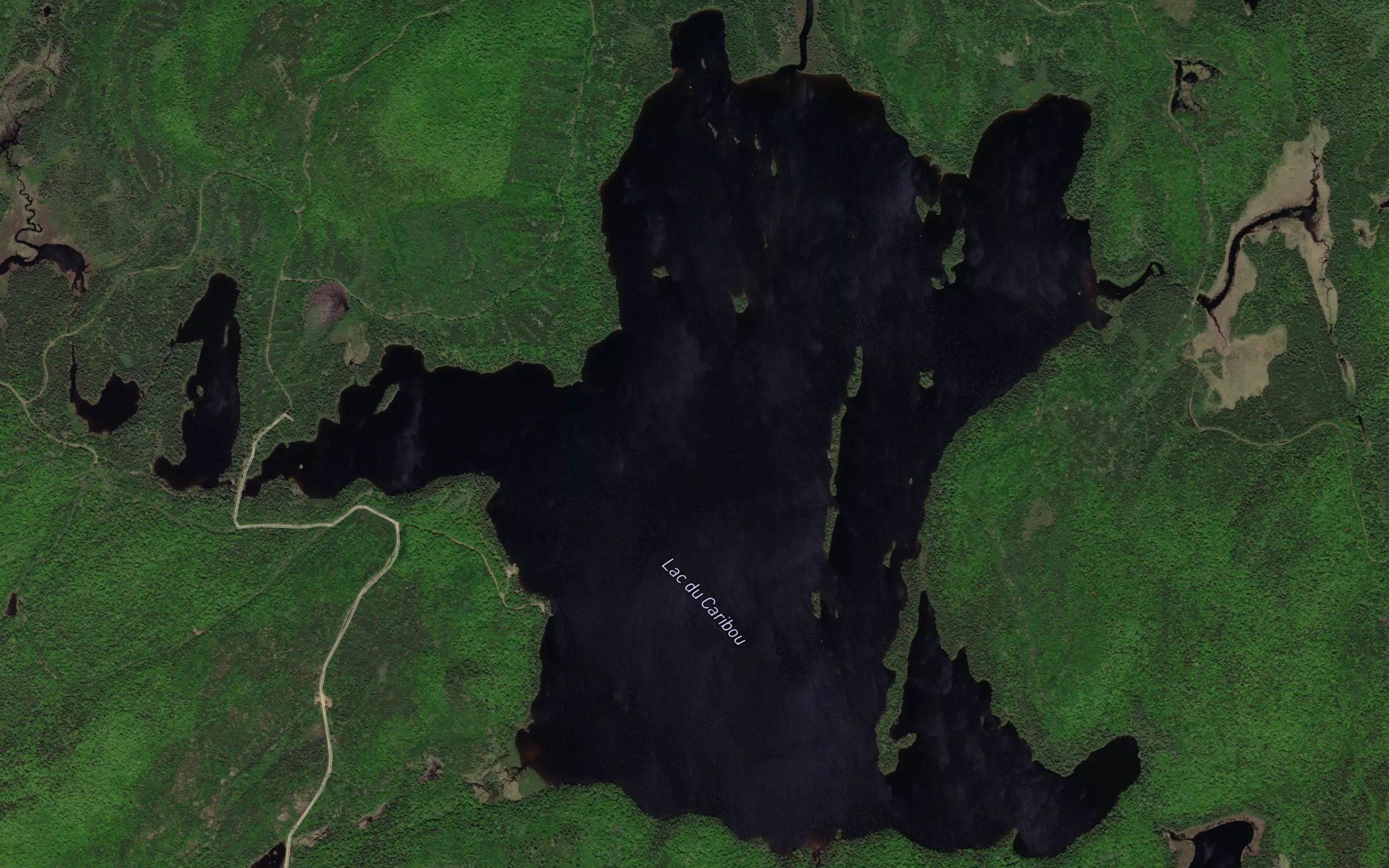 Lac du Caribou