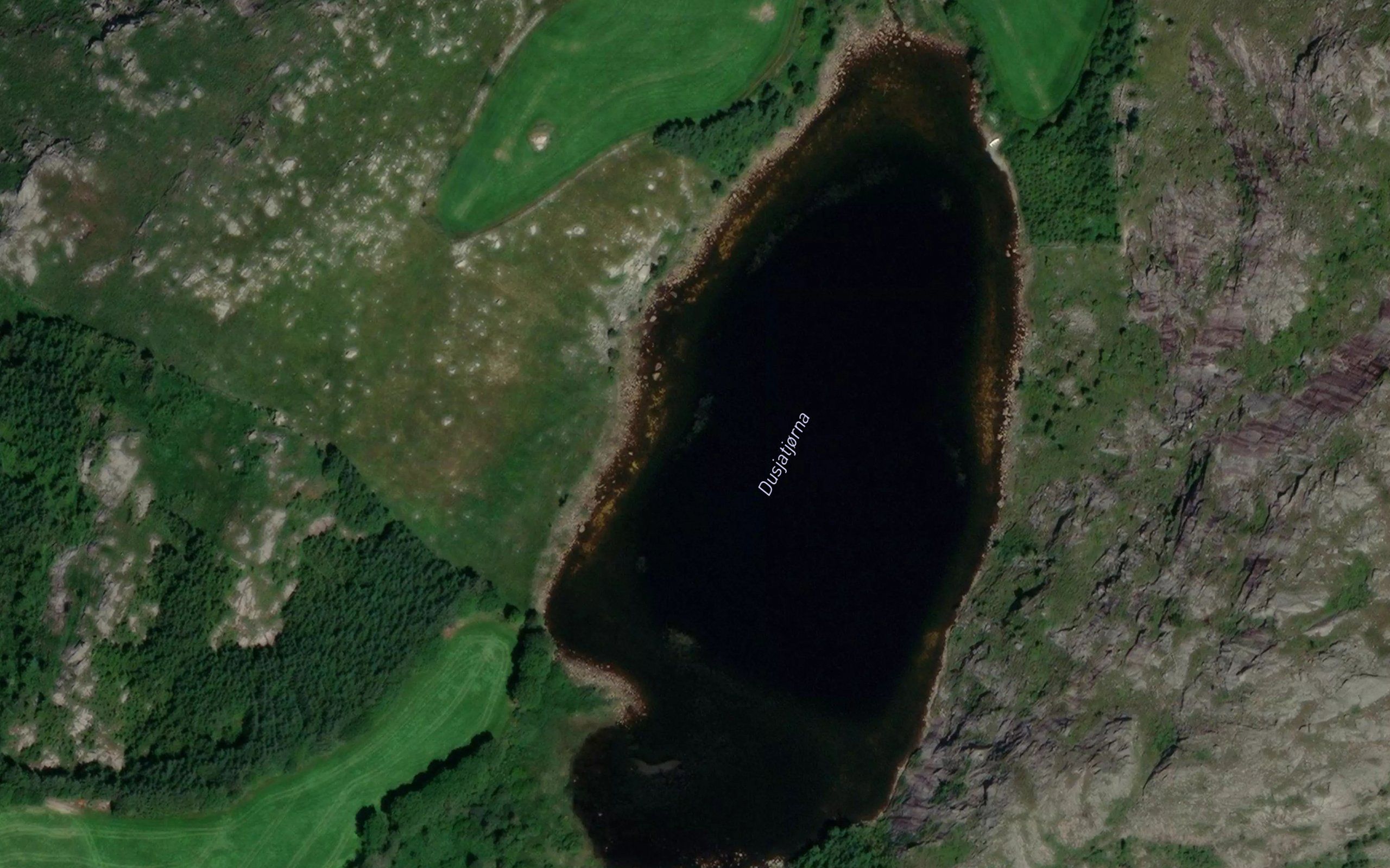 Dusjatjorna