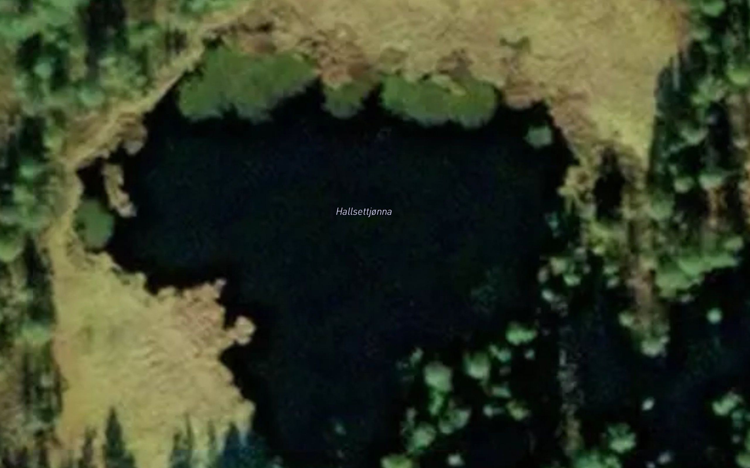 Hallsettjorna