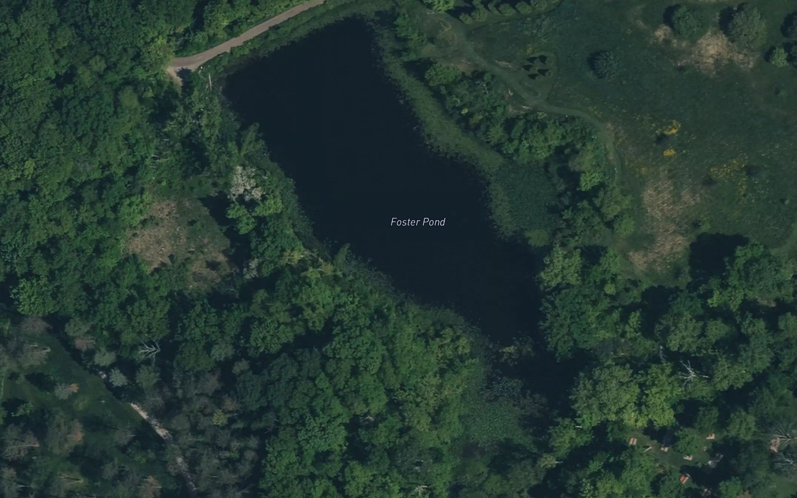 Foster Pond