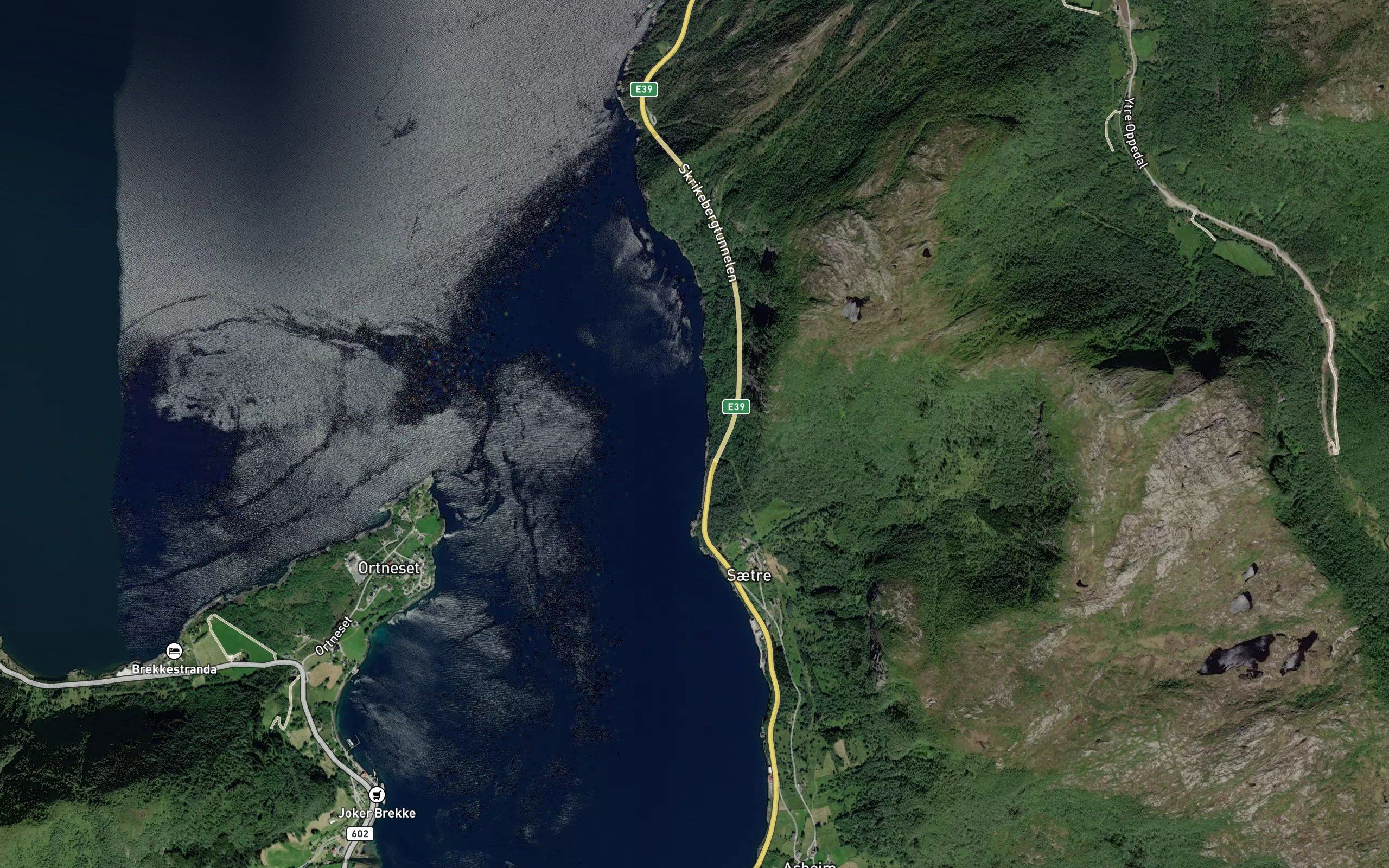 Lindlevika