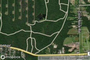 East Fork Marsh Bog Brook