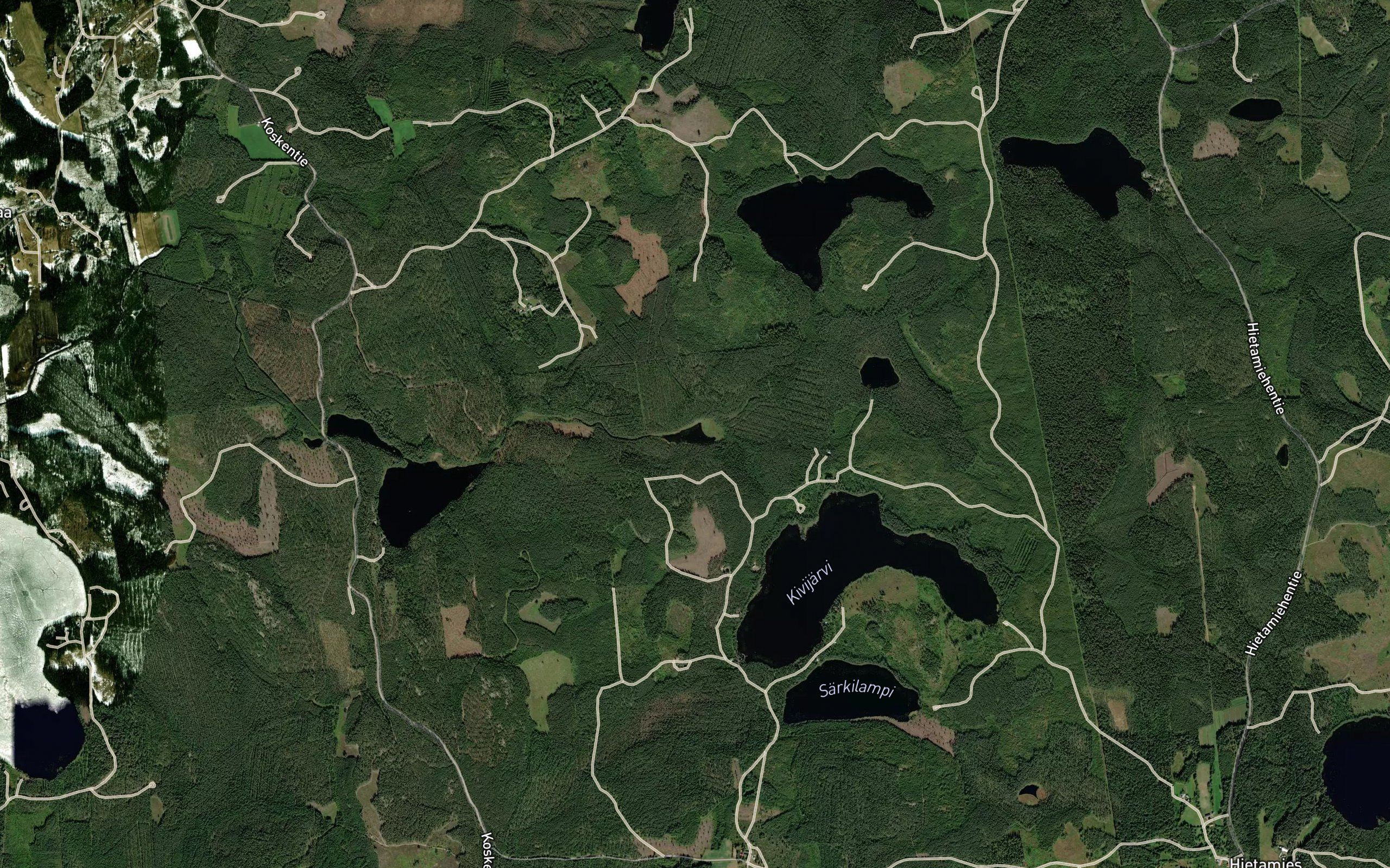 Kurkilampi