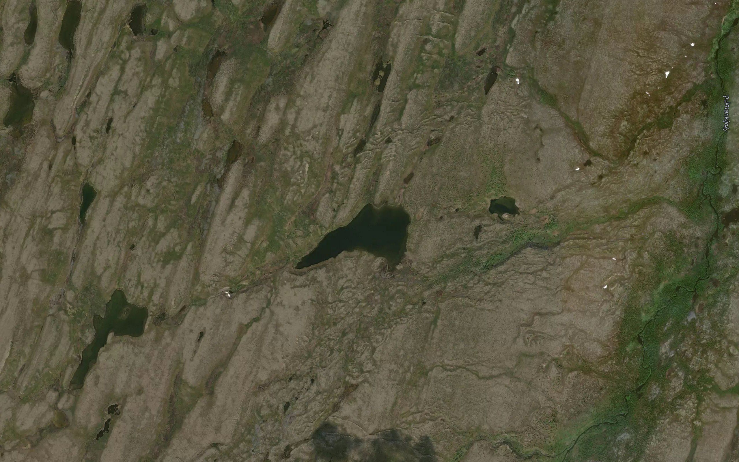 Skalvejavri