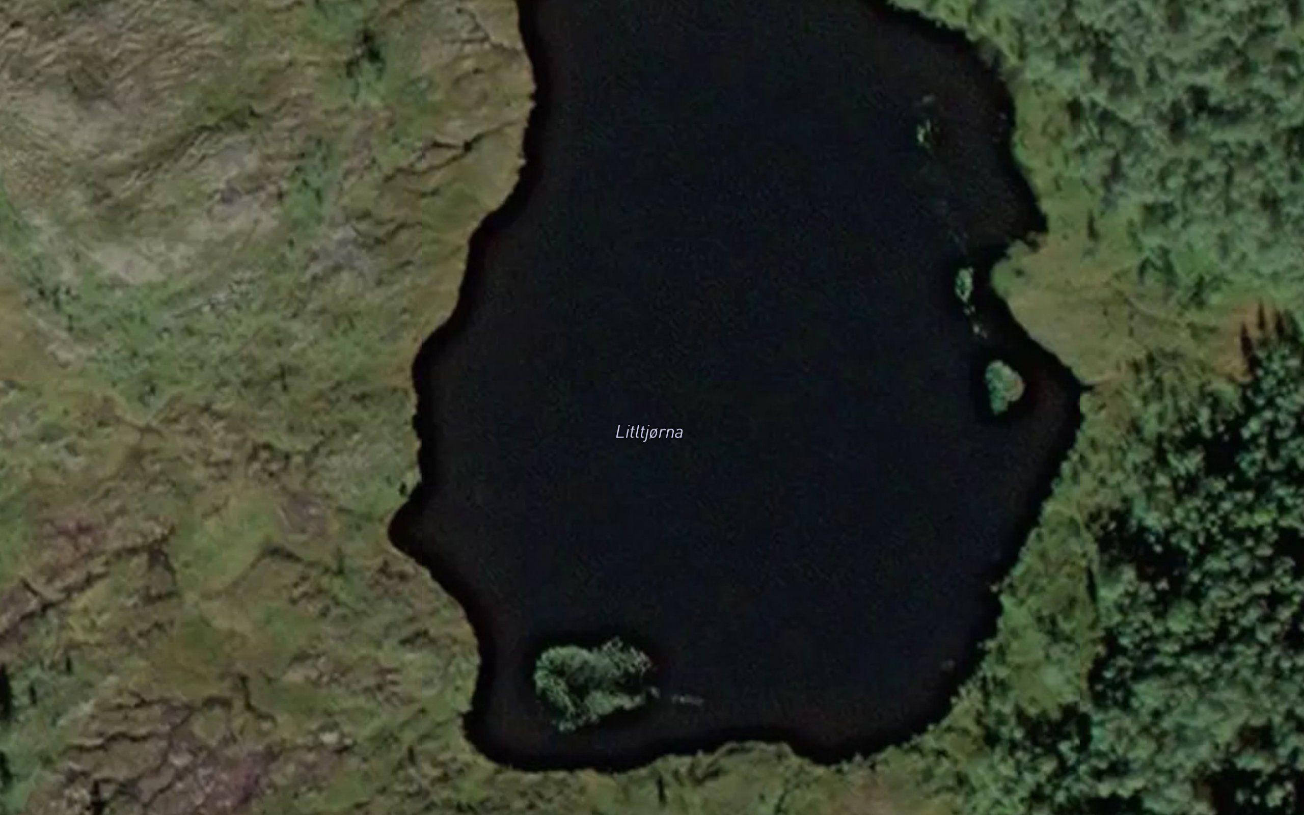 Litltjorna