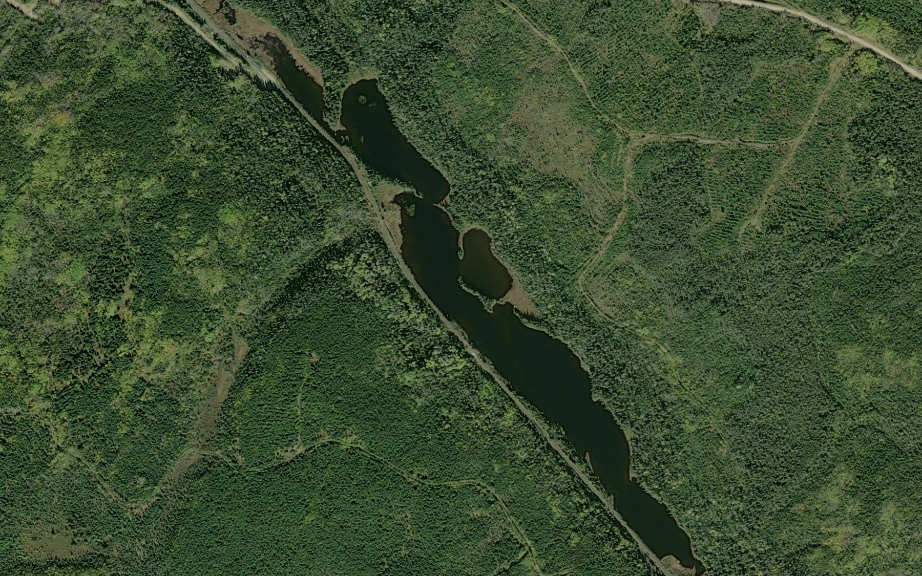 Satellite map of the Lily Lake