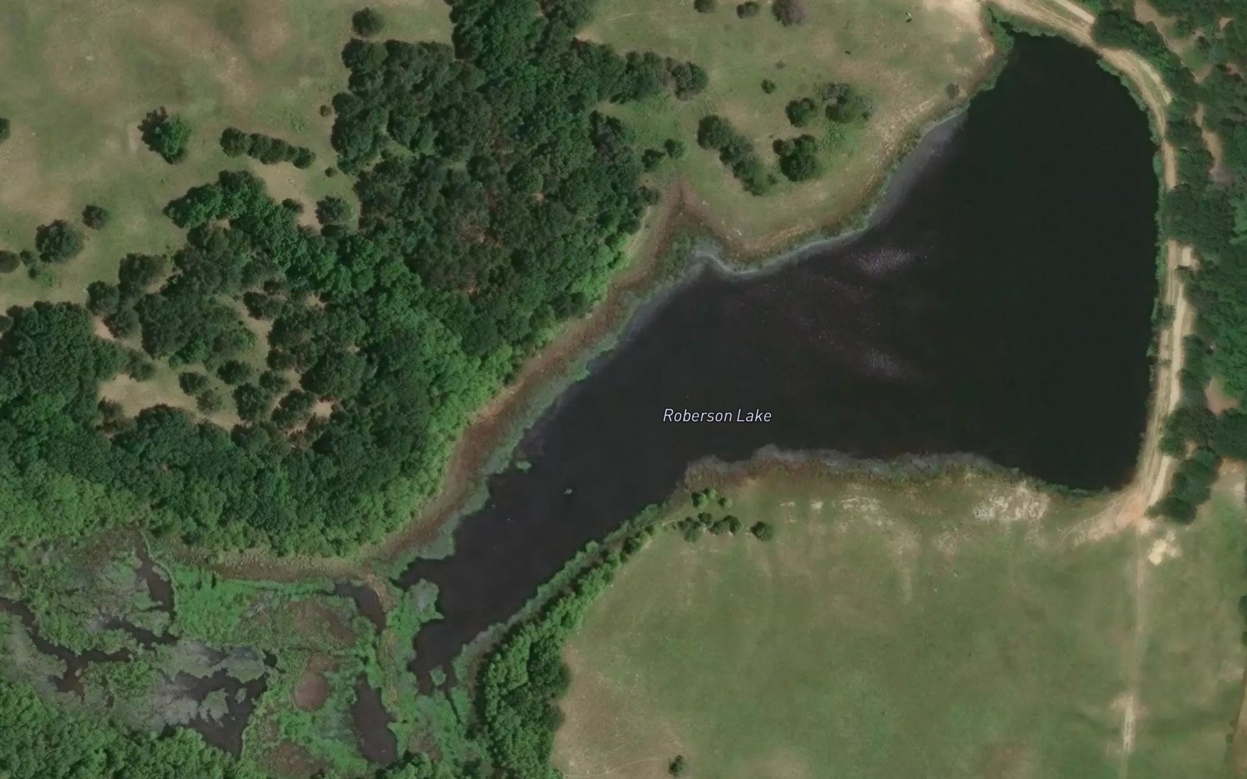 Satellite map of the Roberson Lake
