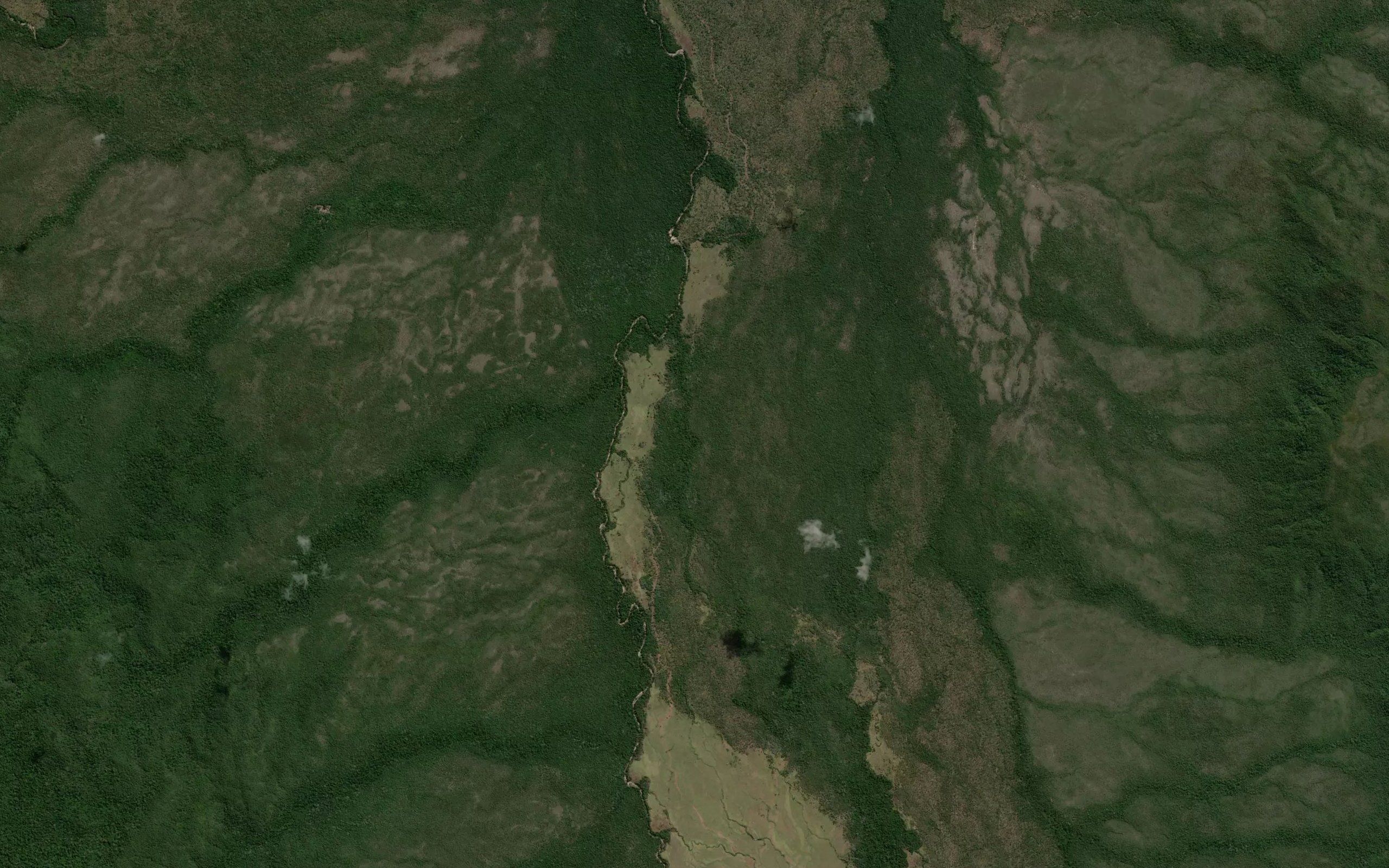 Whippet Creek