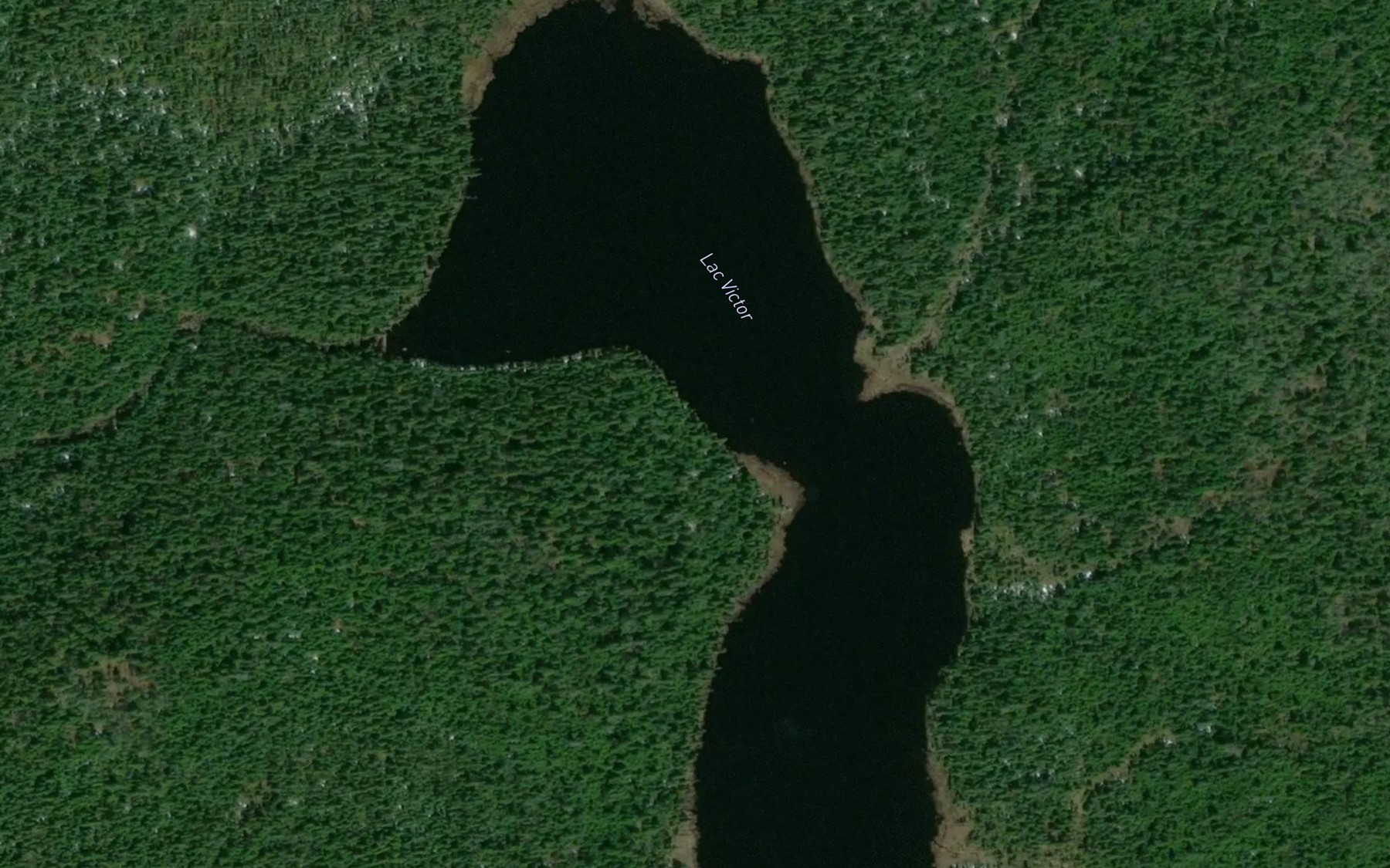 Satellite map of the Lac Victor