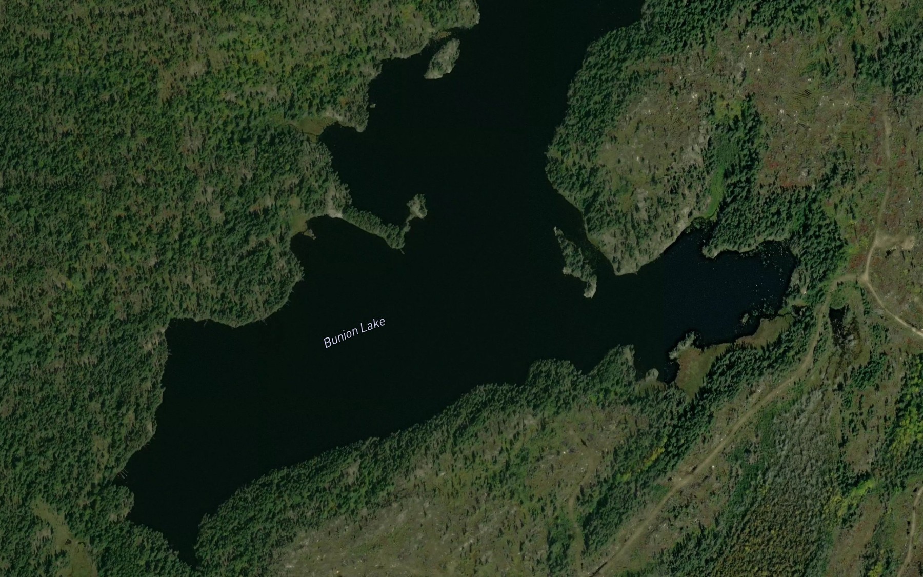 Satellite map of the Bunion Lake