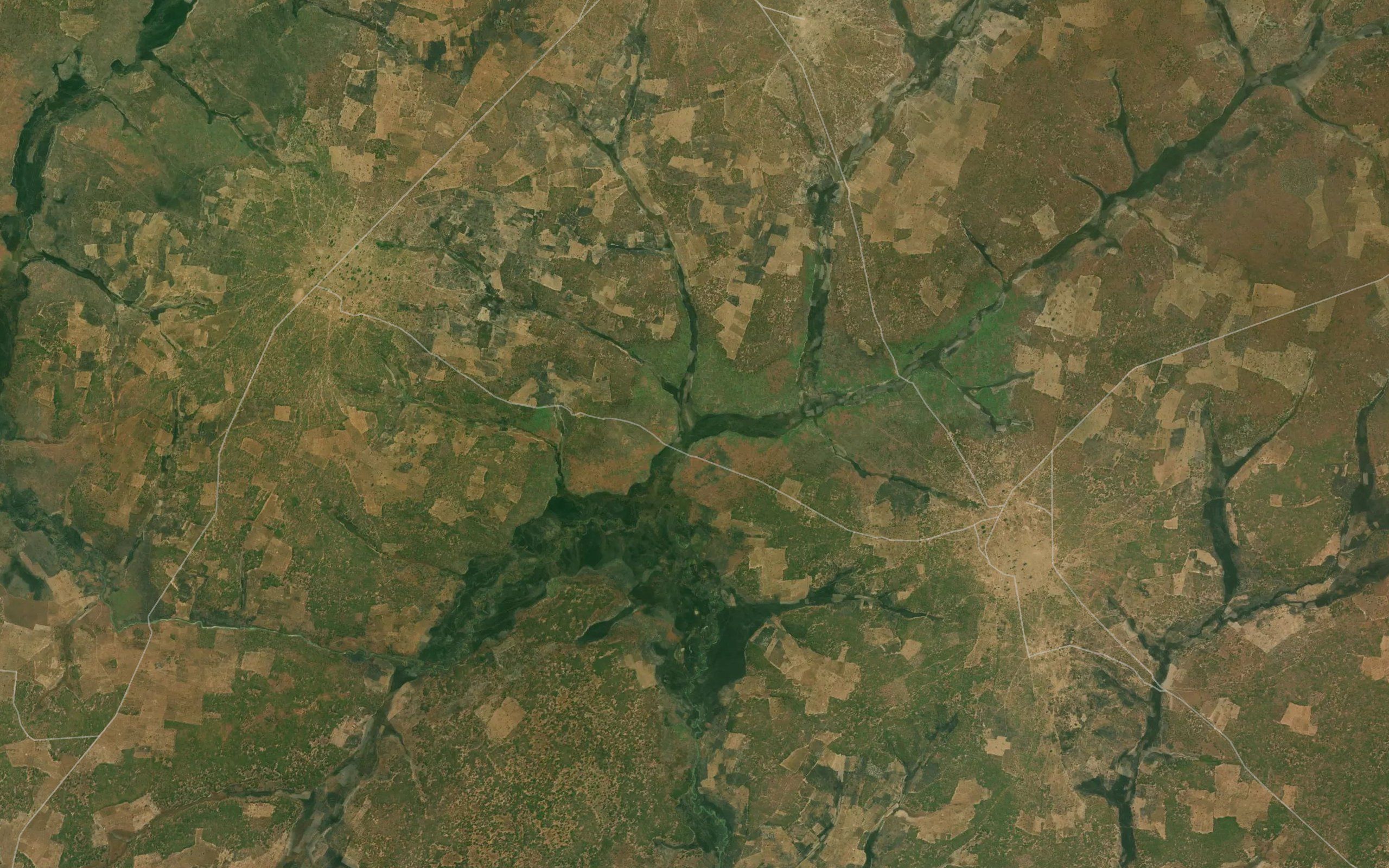 Utaco