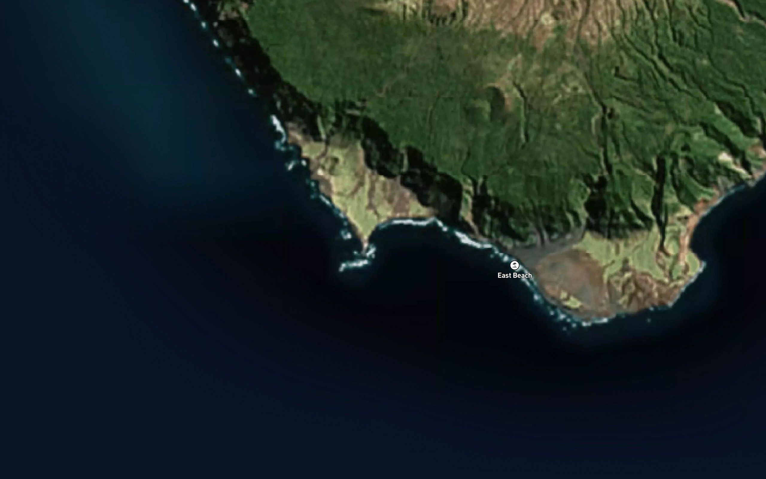 Seal Bay