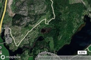 Kjerkjanesholen
