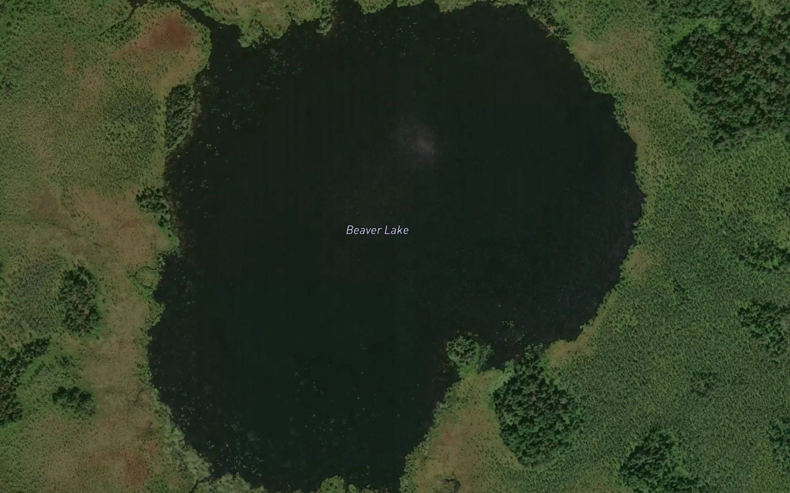 Beaver Lake