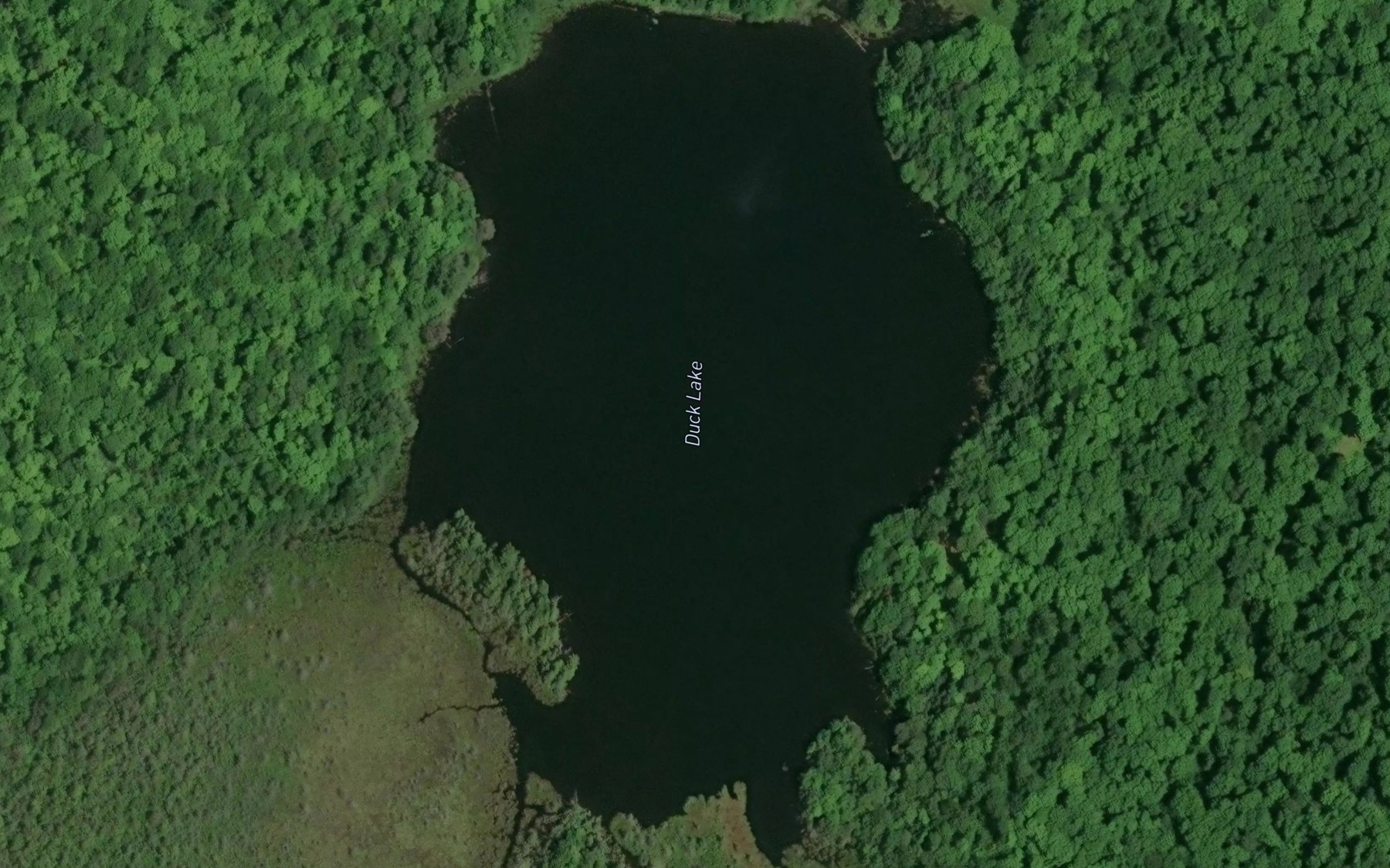 Satellite map of the Duck Lake