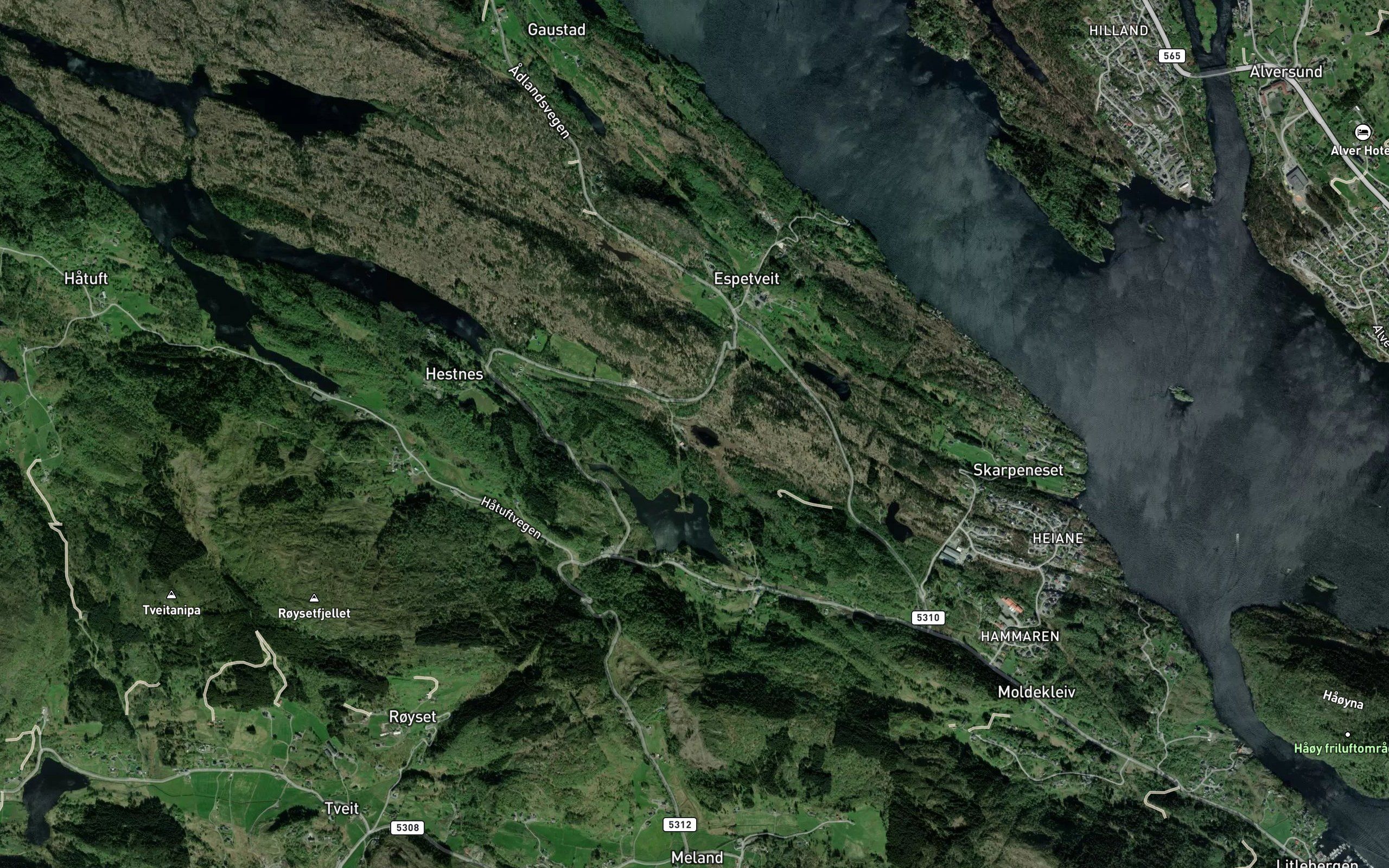 Skartjorni