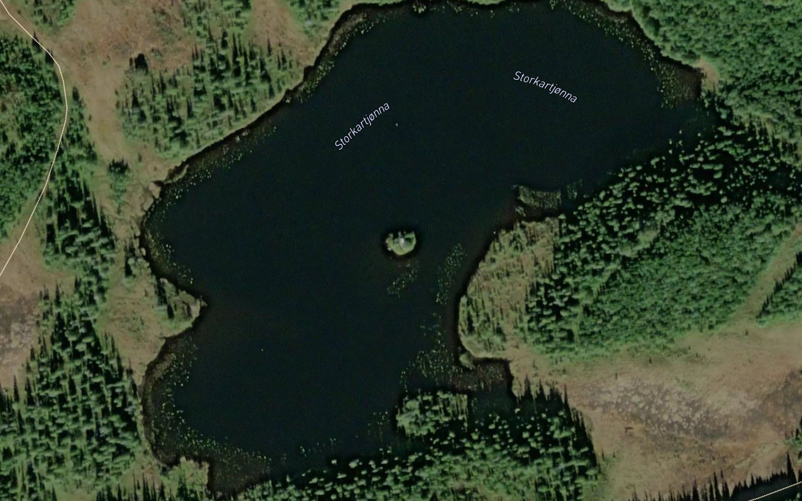 Kartjonna