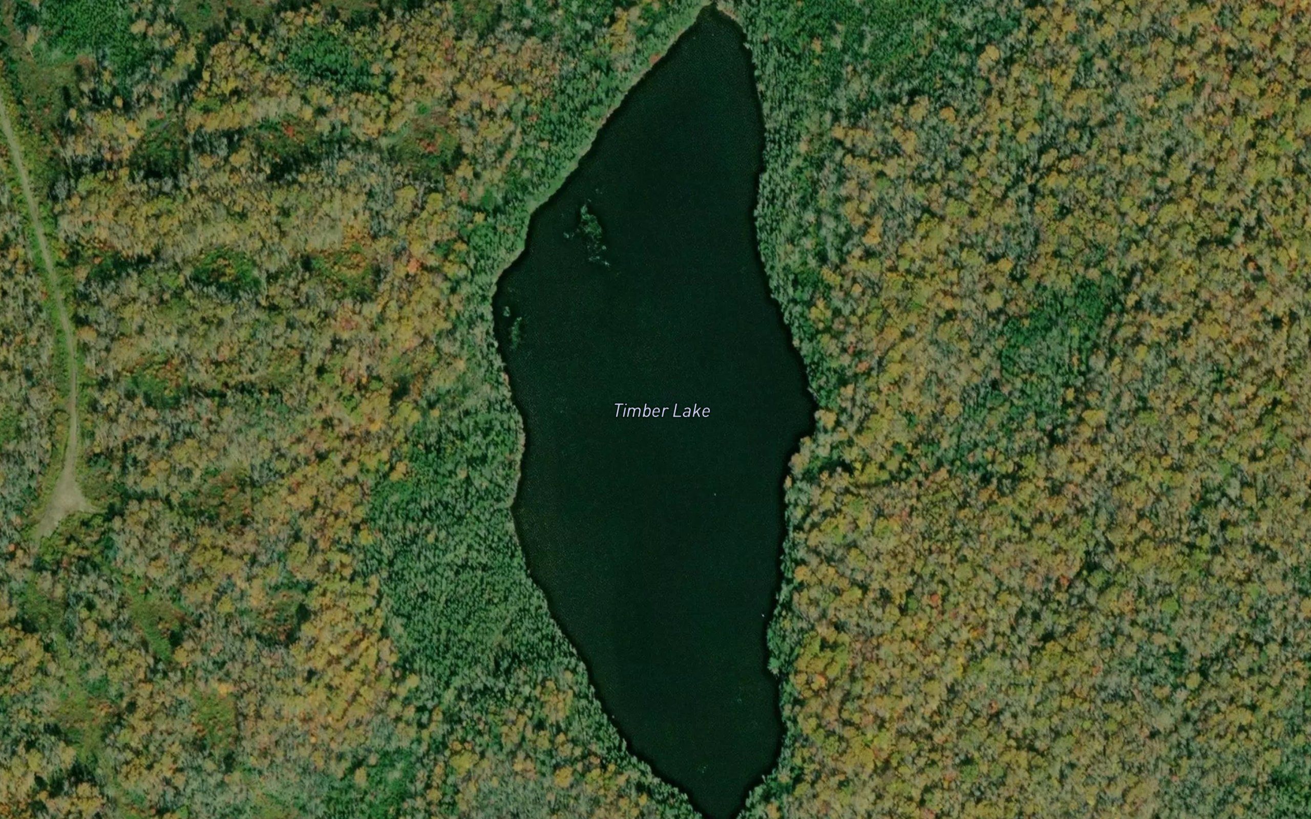 Timber Lake