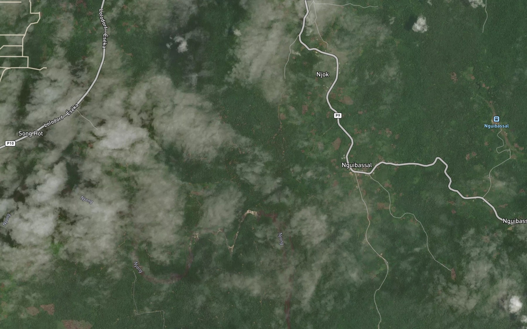 Satellite map of the Ngengas