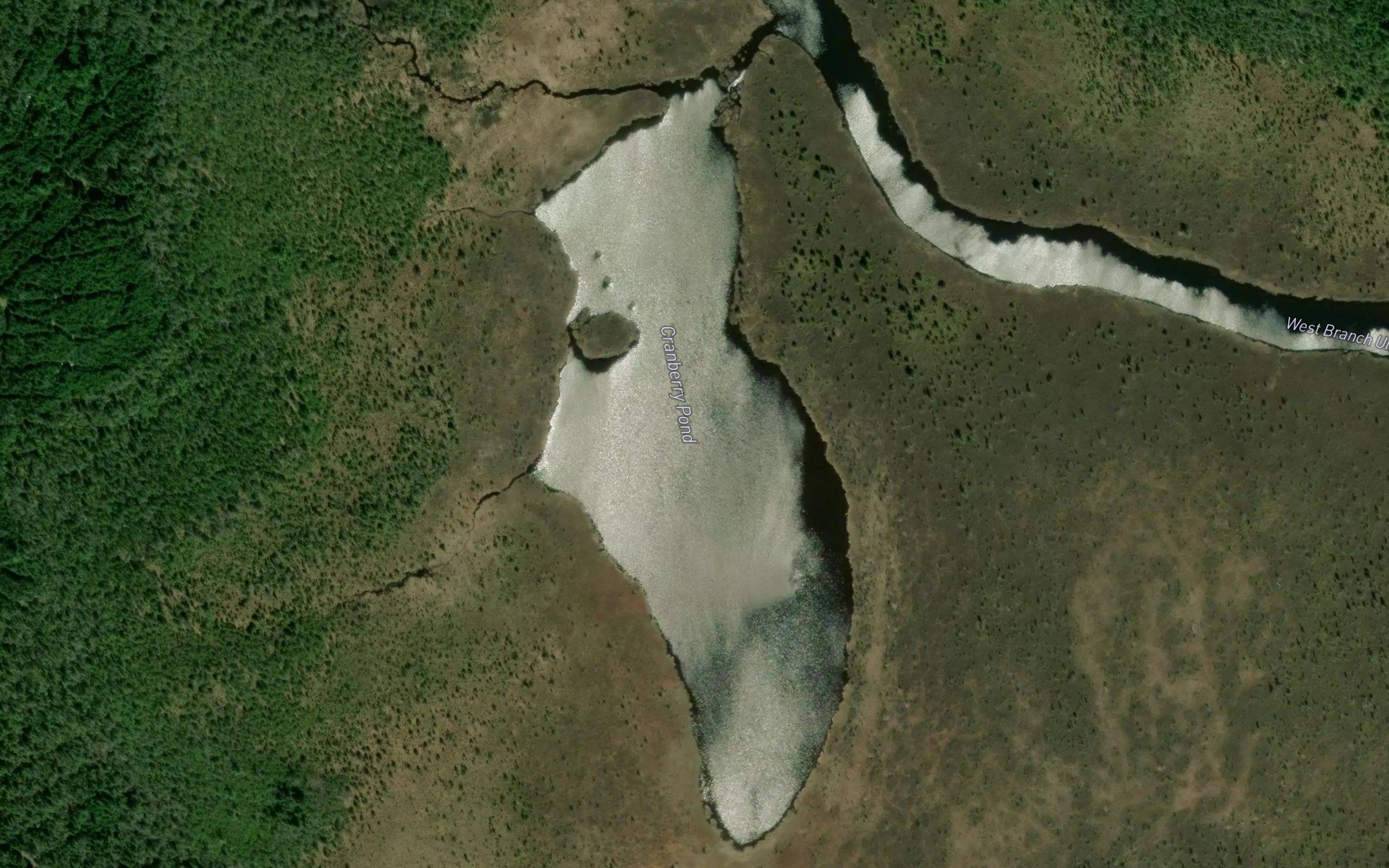 Cranberry Pond