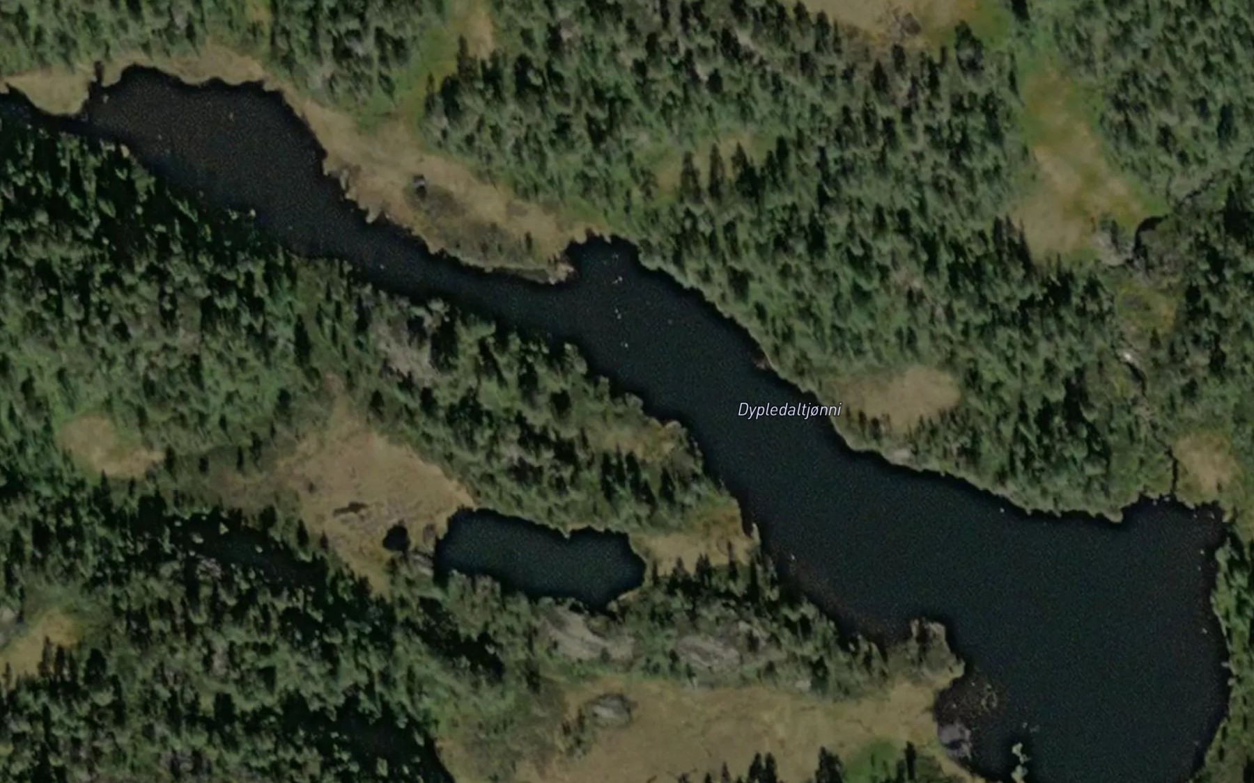 Satellite map of the Dypledaltjorni